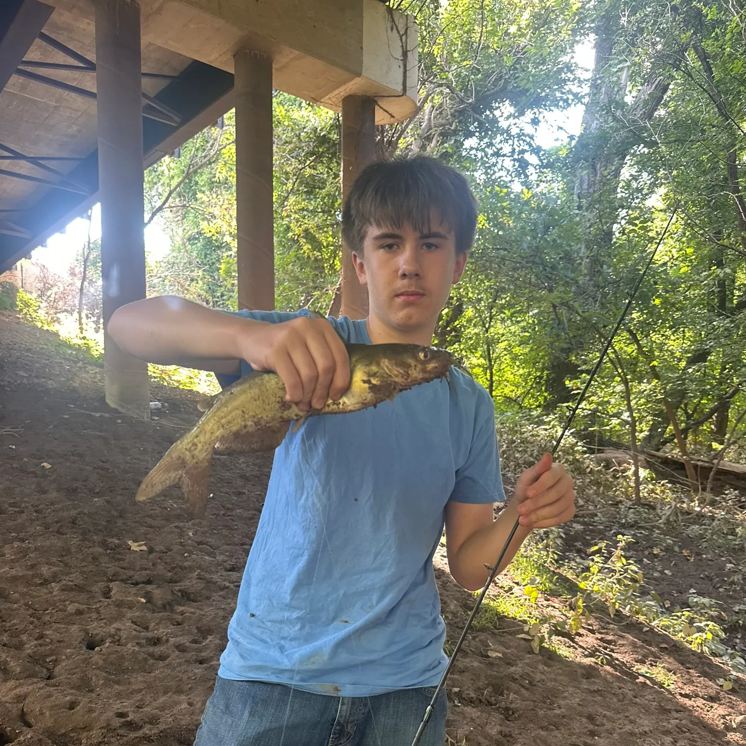 Channel catfish caught on Fishbrain