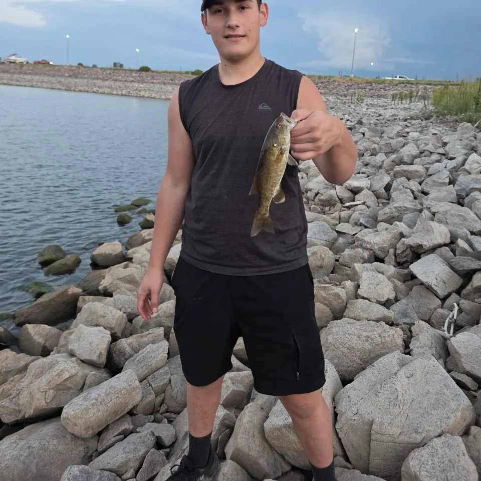 Smallmouth bass caught on Fishbrain