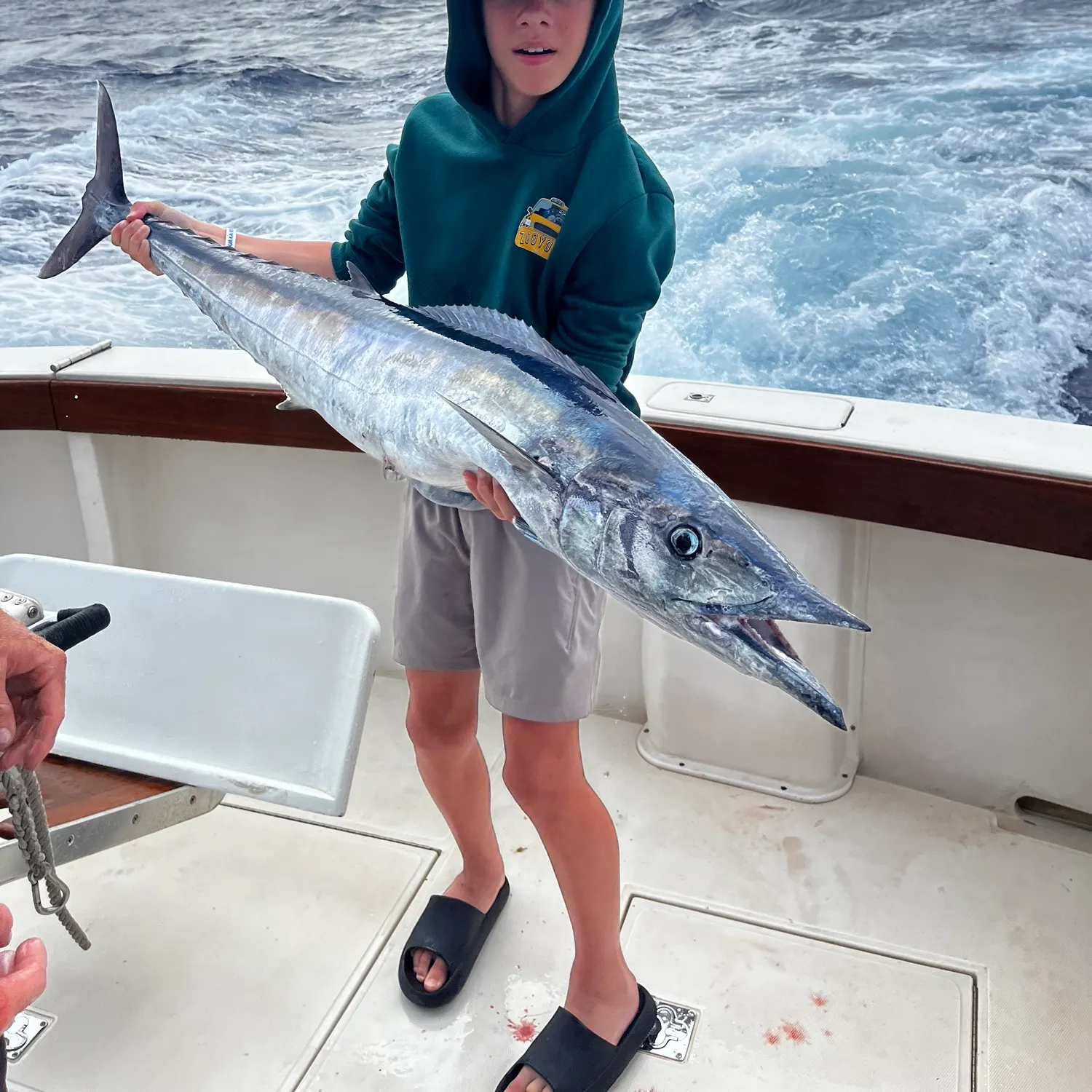Wahoo caught on Fishbrain
