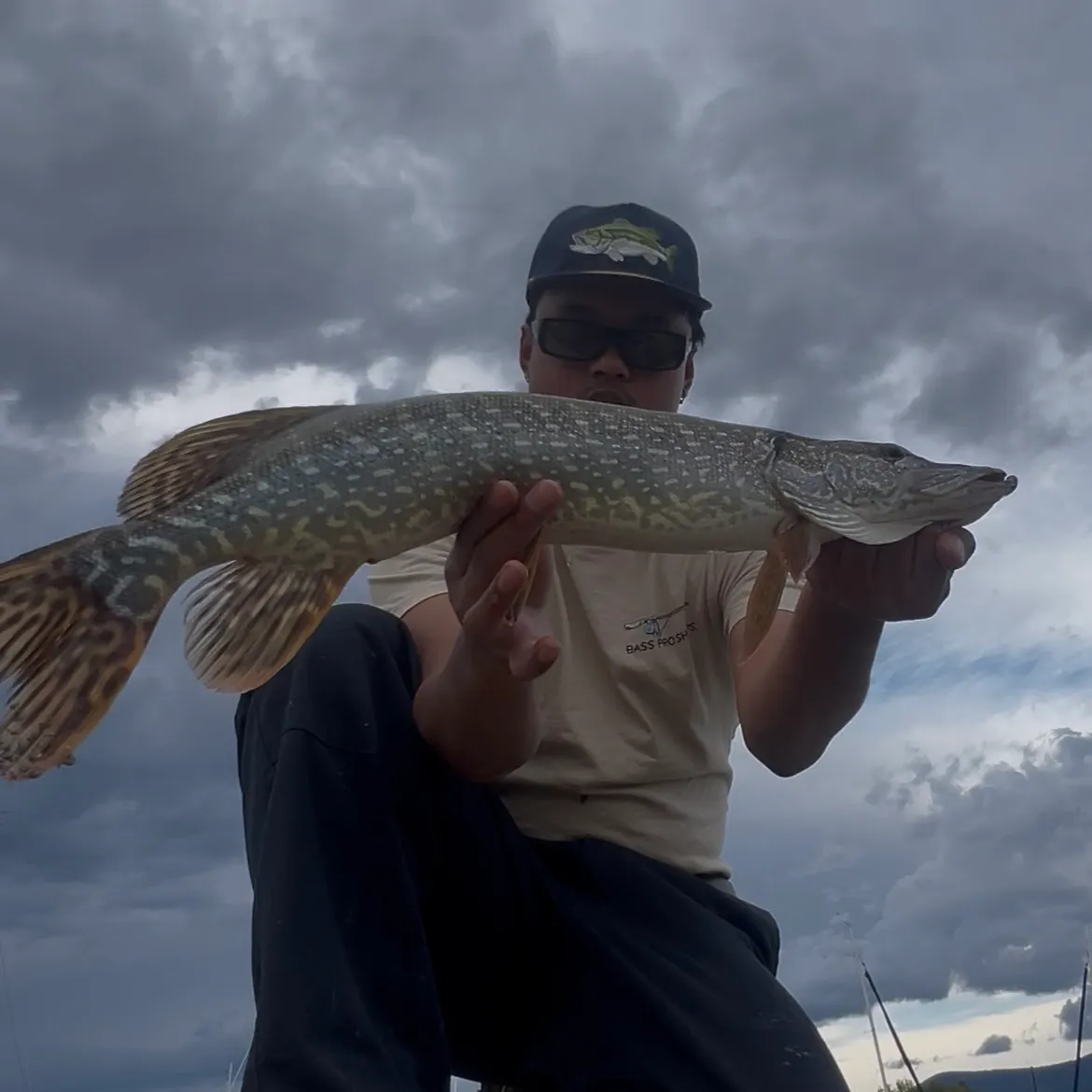 Northern pike caught on Fishbrain