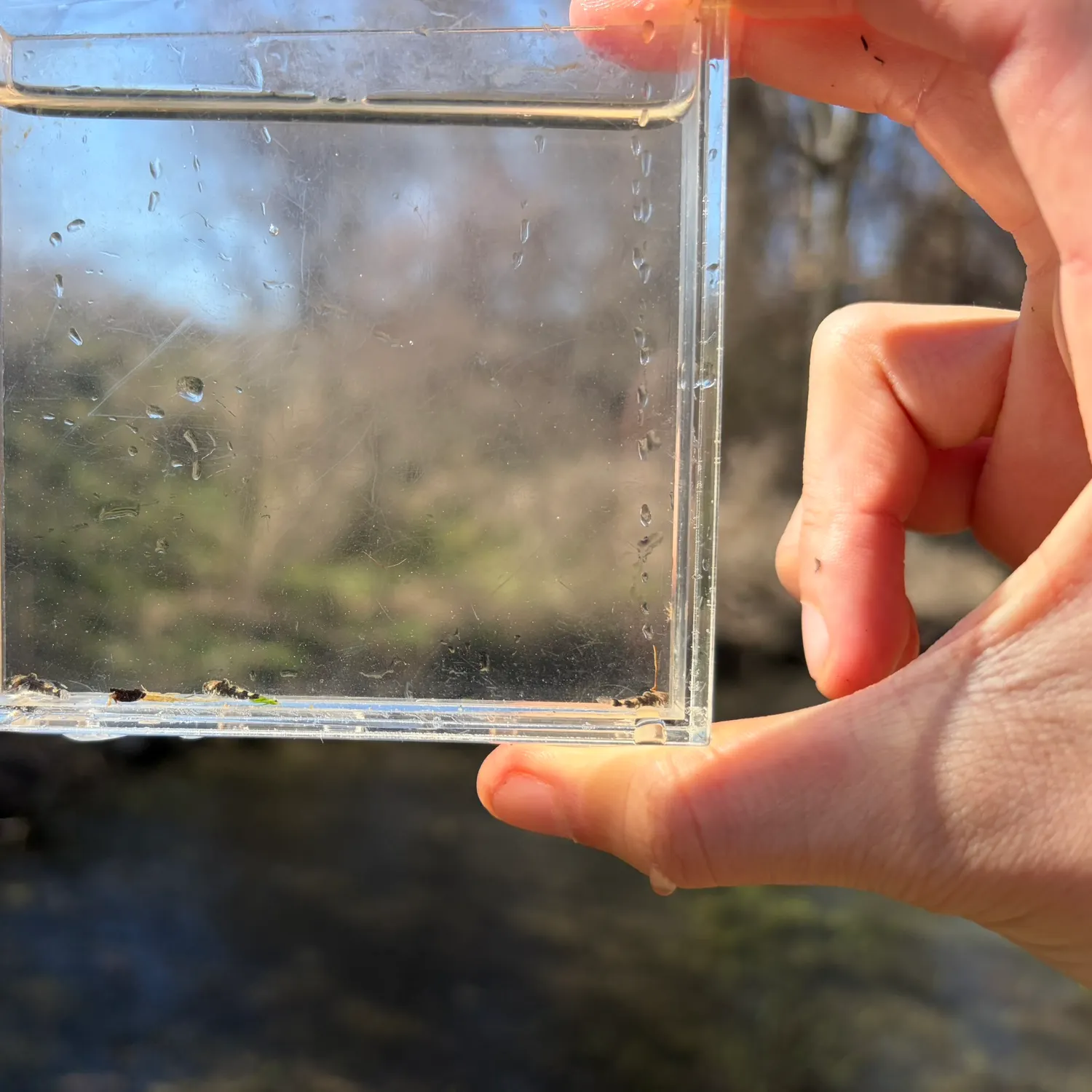 The most recent Banded sculpin catches on Fishbrain