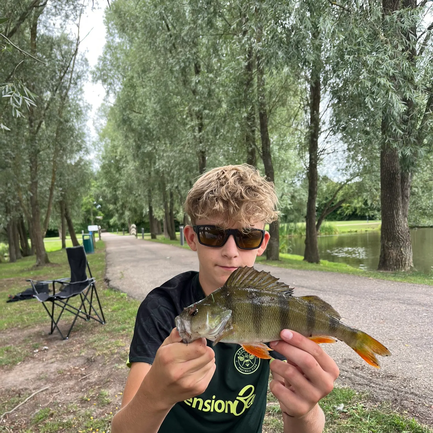 European perch caught on Fishbrain