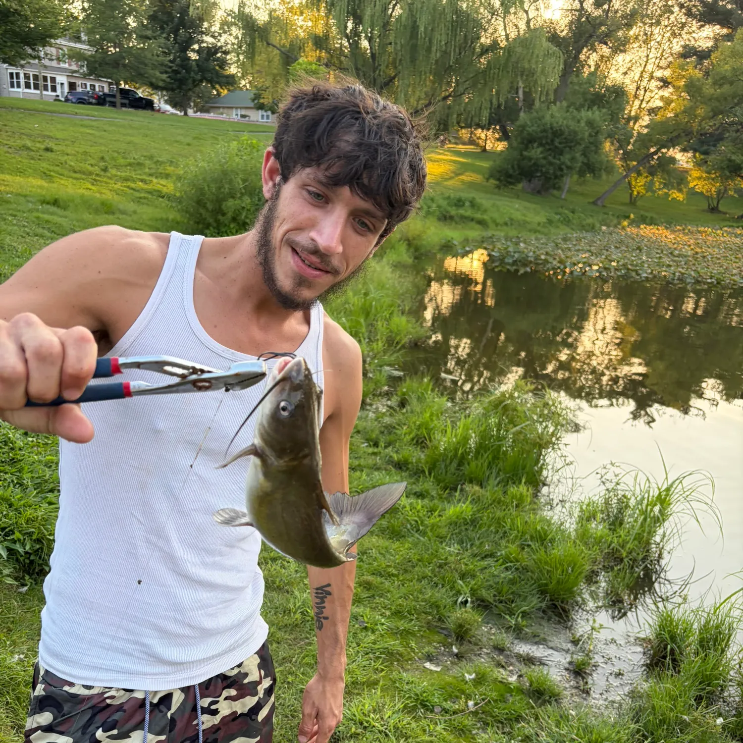 Channel catfish caught on Fishbrain