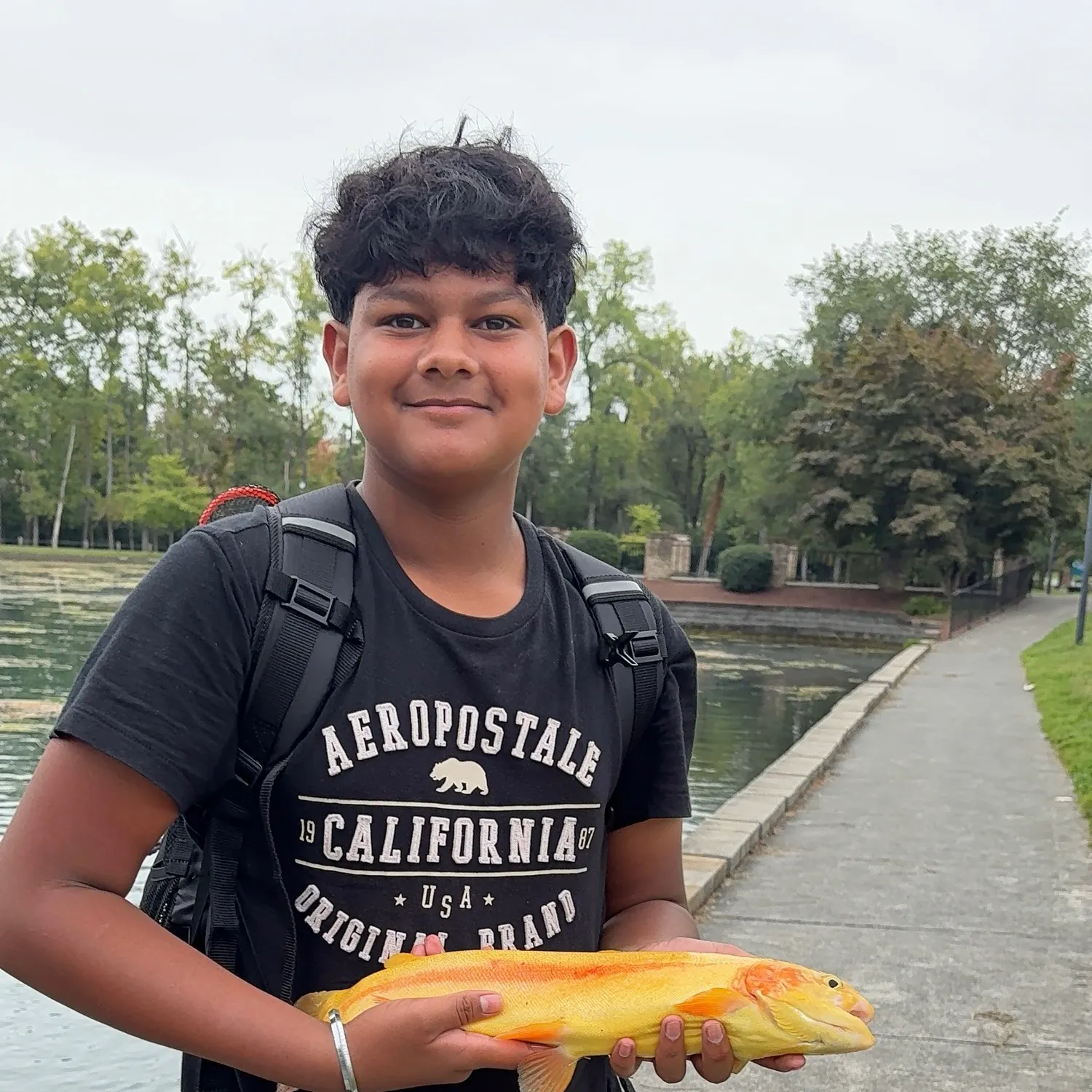 Golden rainbow trout caught on Fishbrain