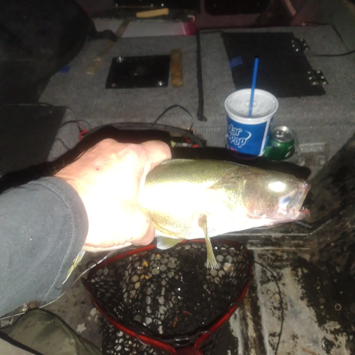 The most recent Walleye catches on Fishbrain