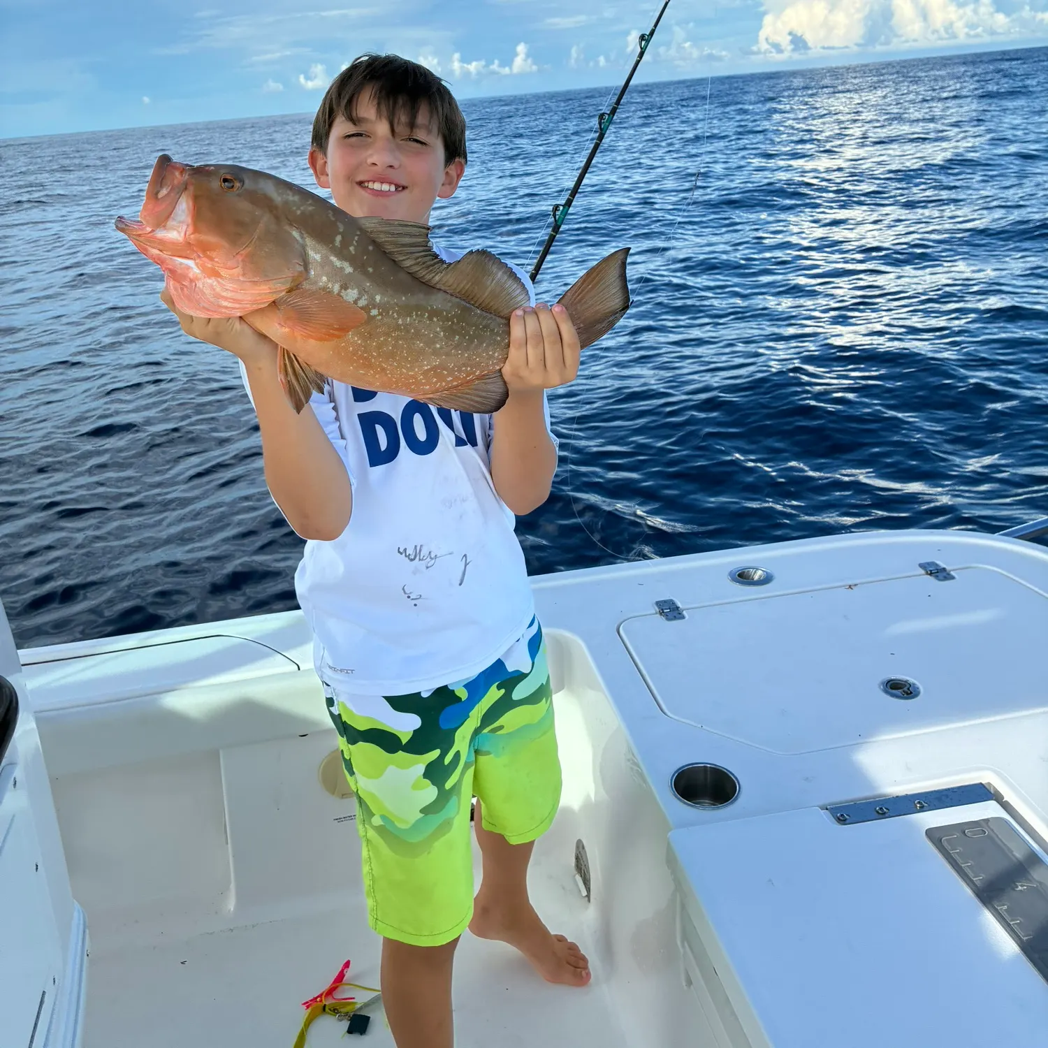 Red grouper caught on Fishbrain