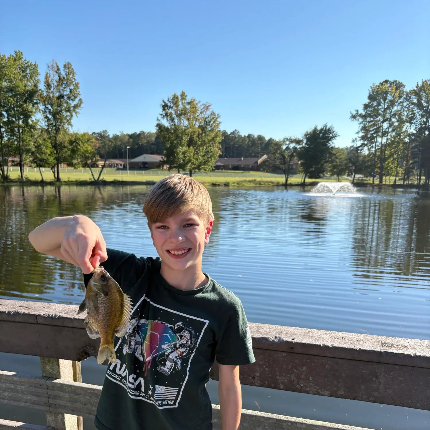 Bluegill caught on Fishbrain