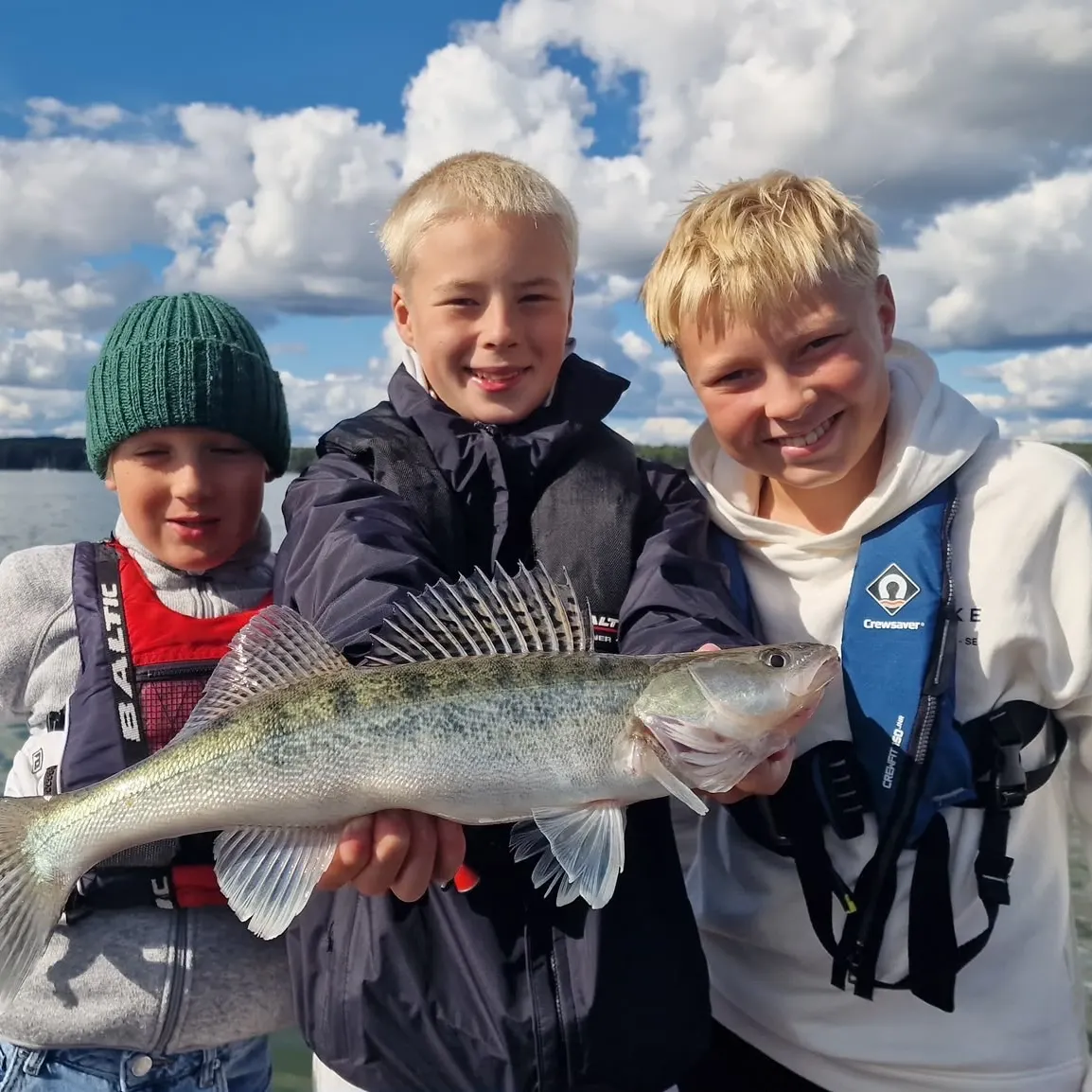 Zander caught on Fishbrain