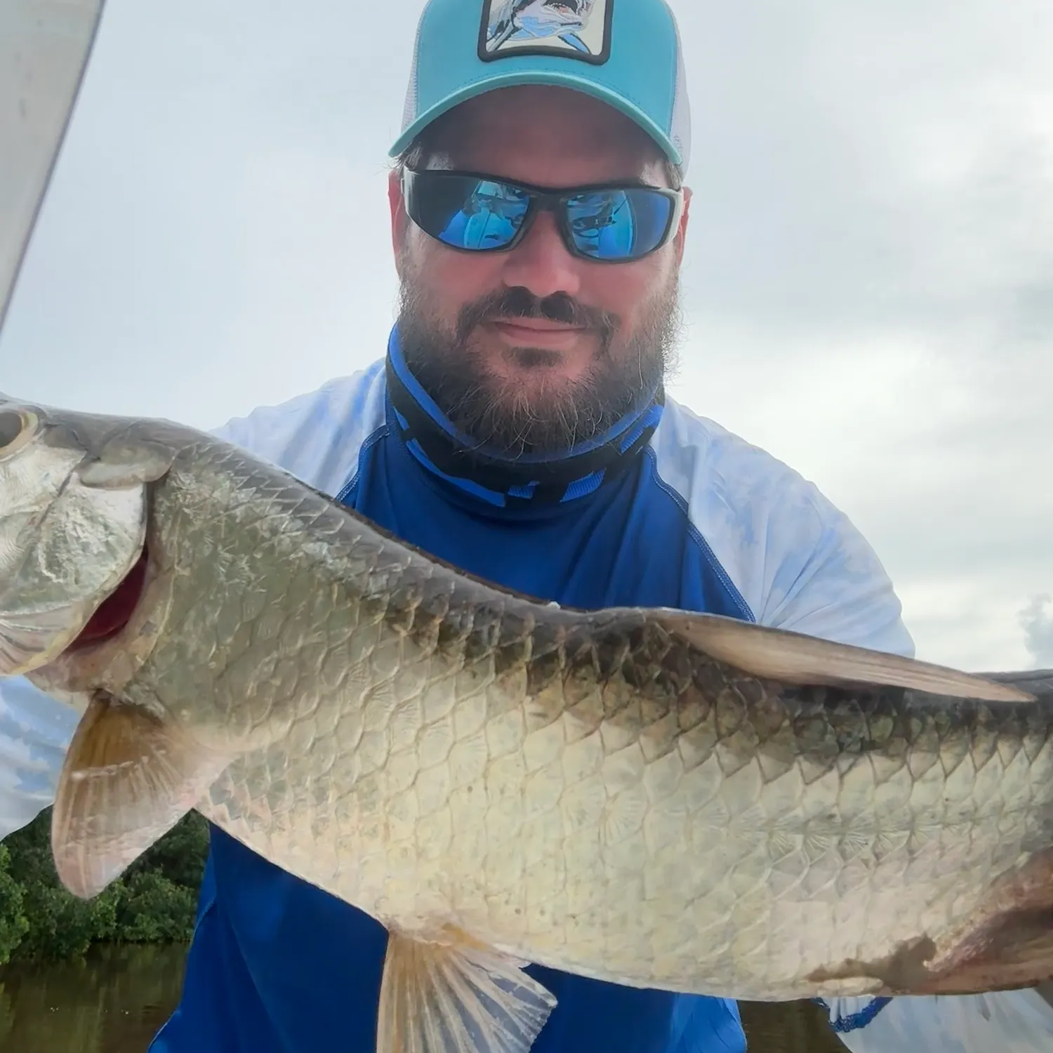 Tarpon caught on Fishbrain