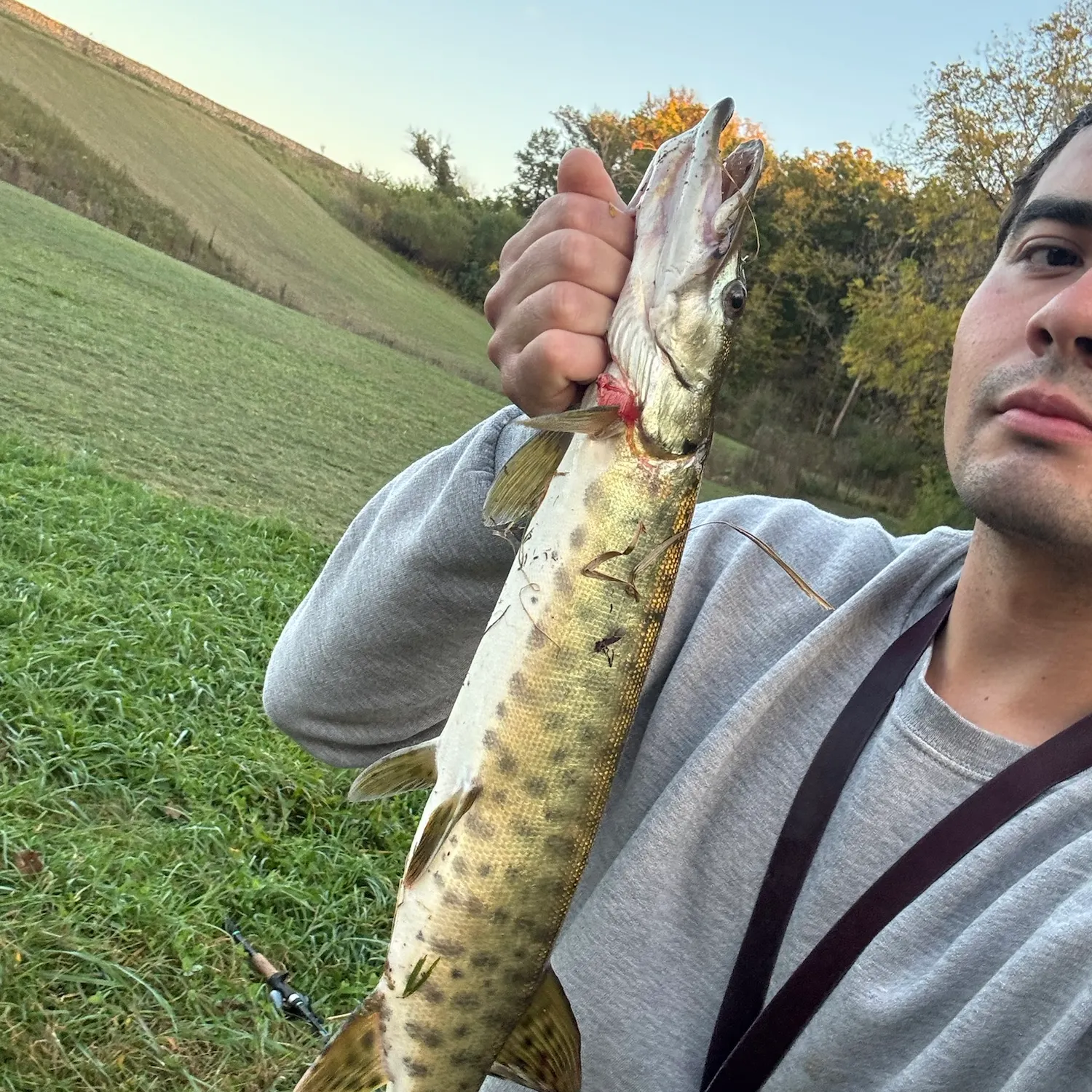 Muskie caught on Fishbrain