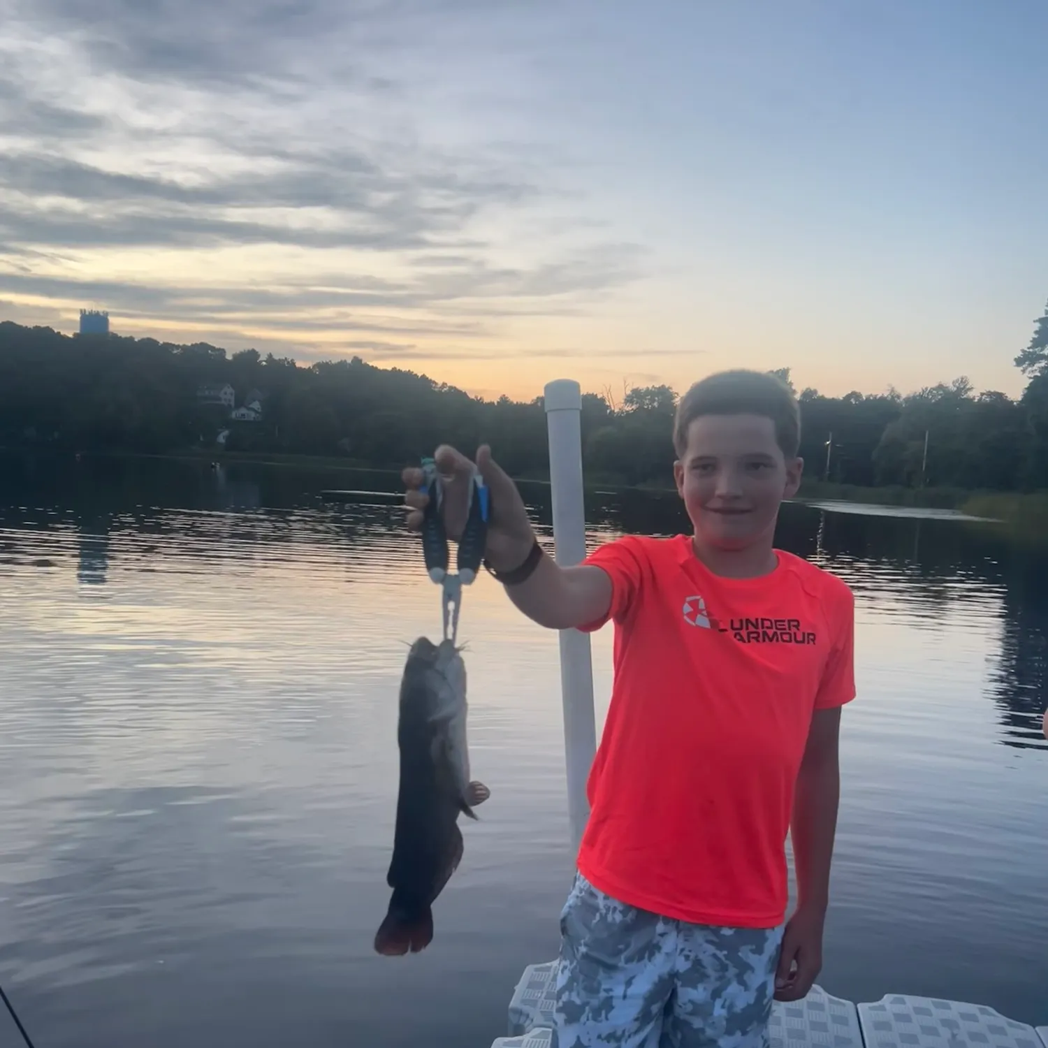Black bullhead caught on Fishbrain