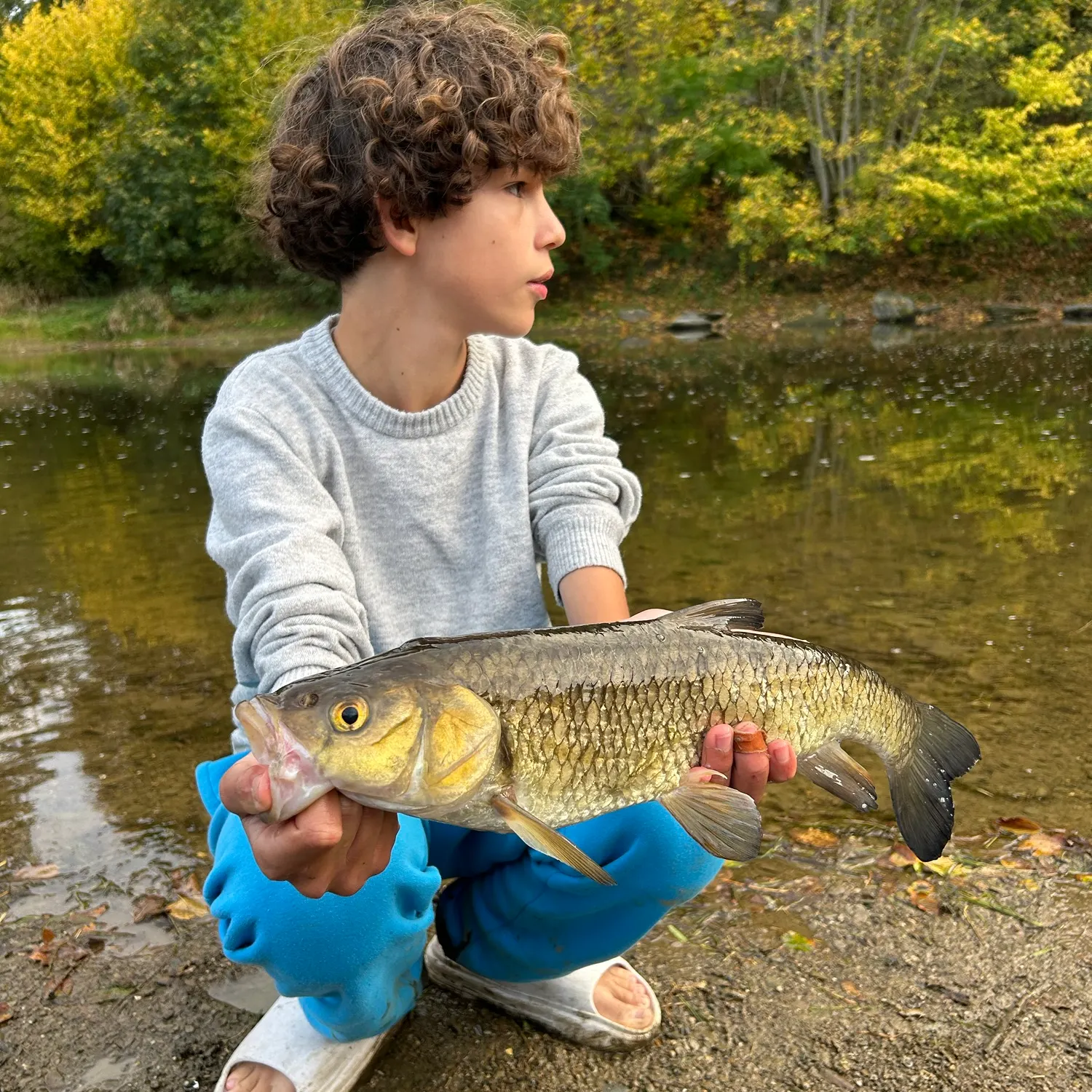 European chub caught on Fishbrain