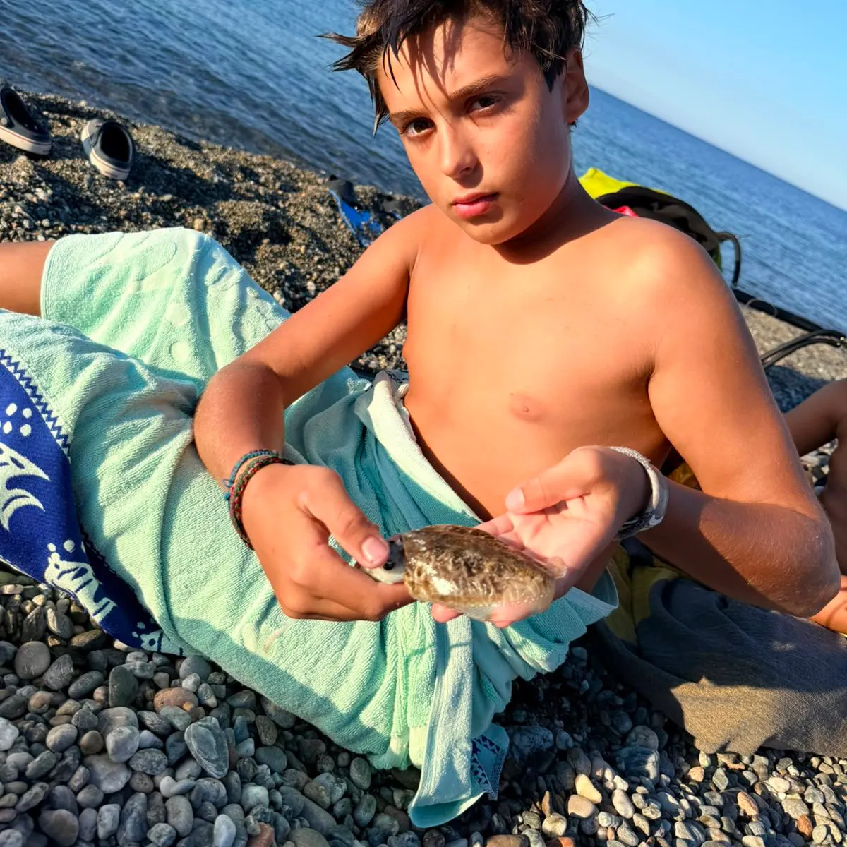 The most recent Common cuttlefish catches on Fishbrain