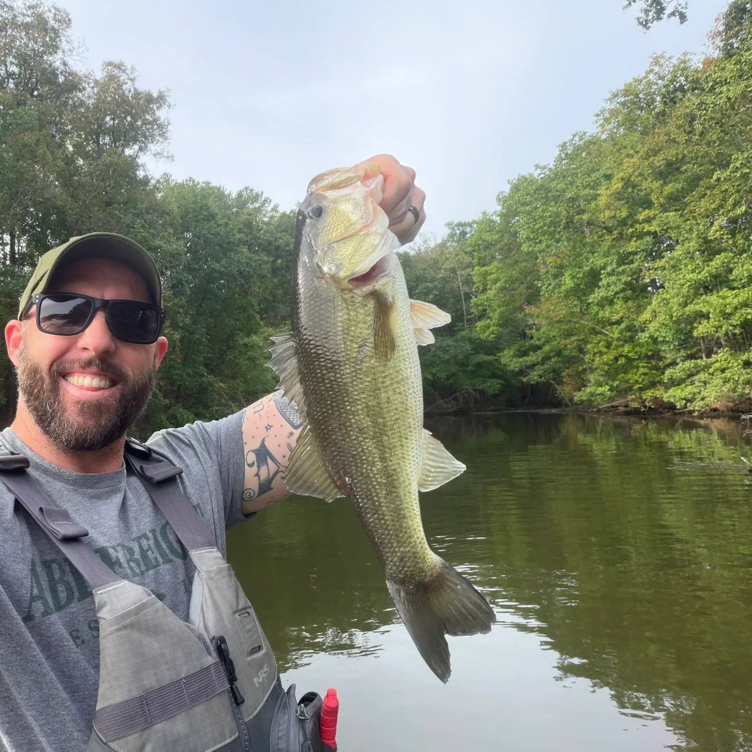 Largemouth bass caught on Fishbrain