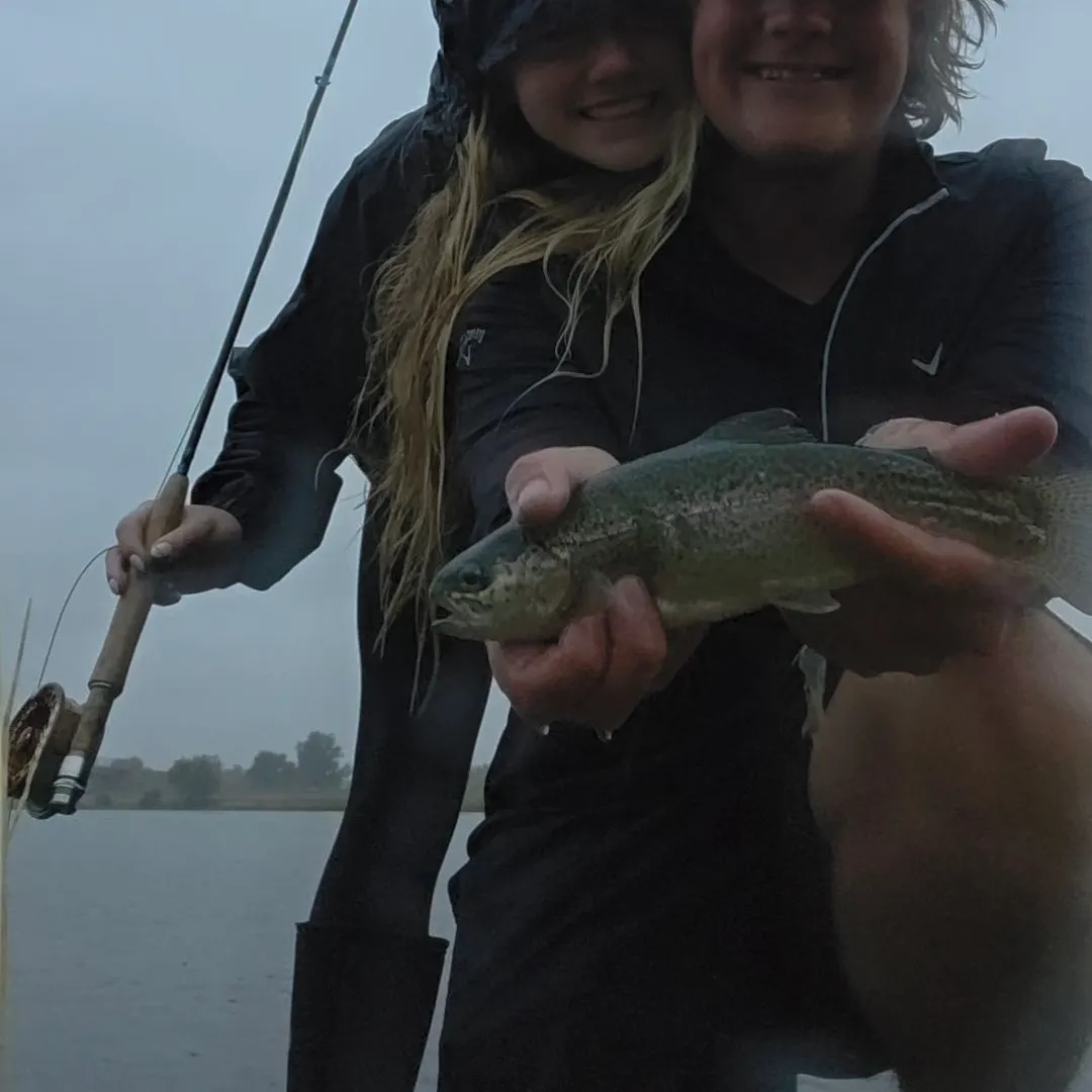 Rainbow trout caught on Fishbrain