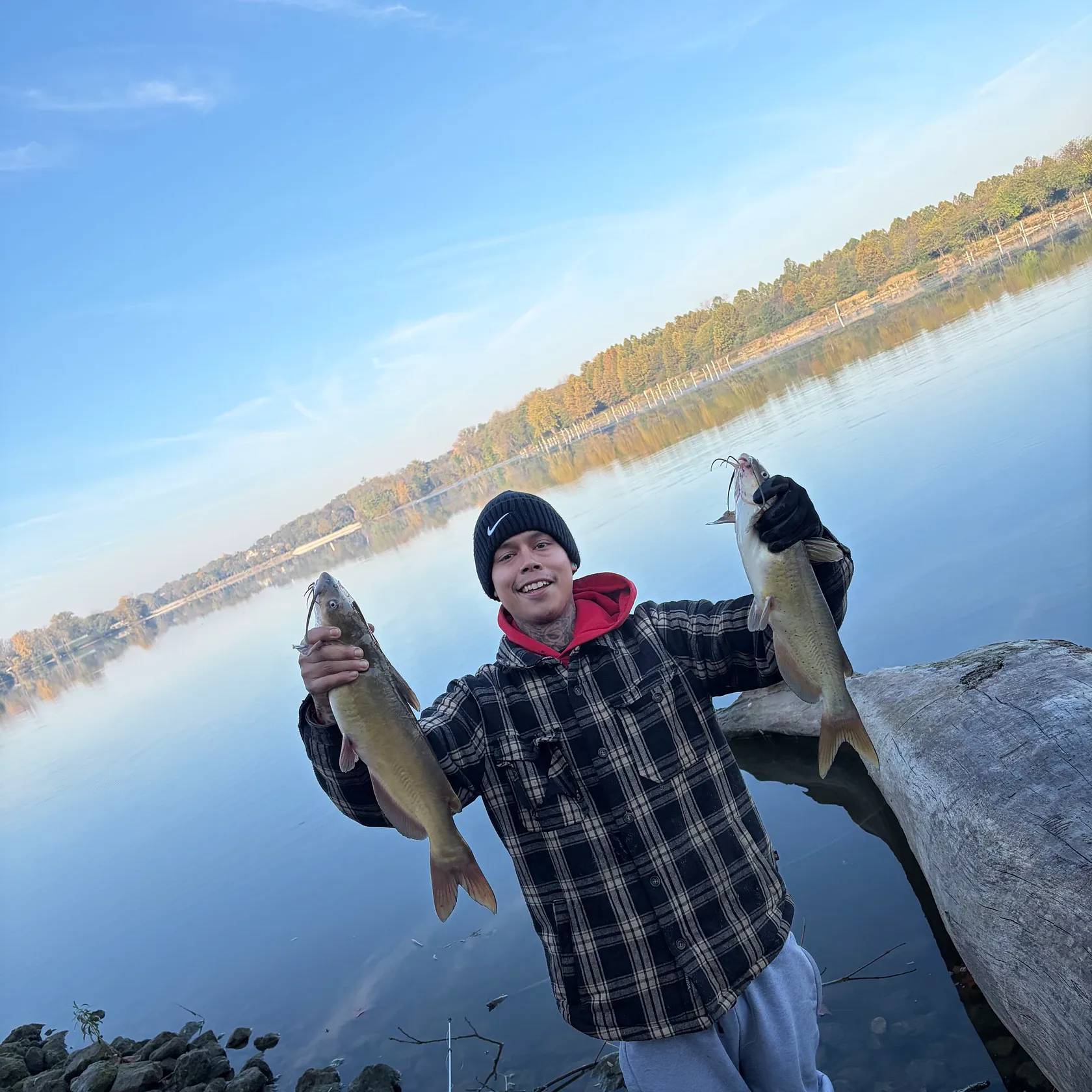 Channel catfish caught on Fishbrain