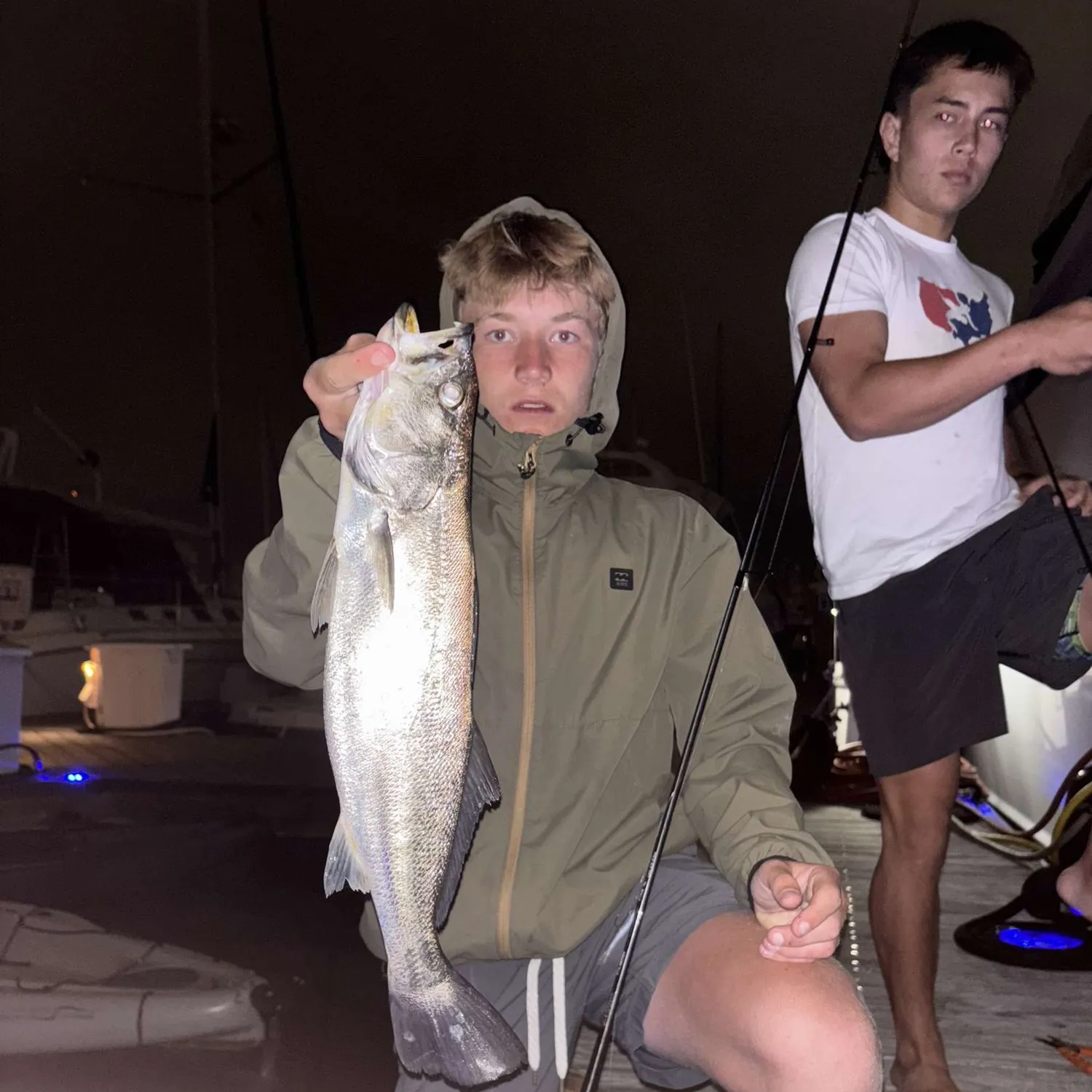 The most recent Stolzmann's weakfish catches on Fishbrain
