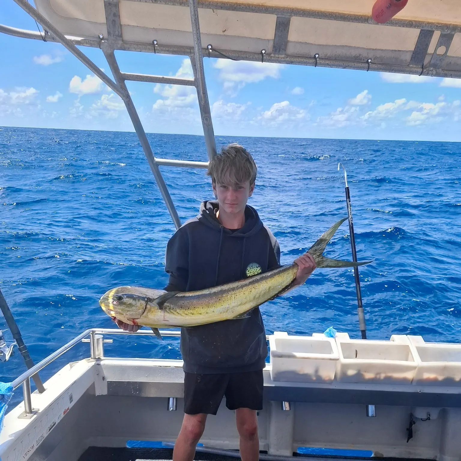 The most recent Common dolphinfish catches on Fishbrain