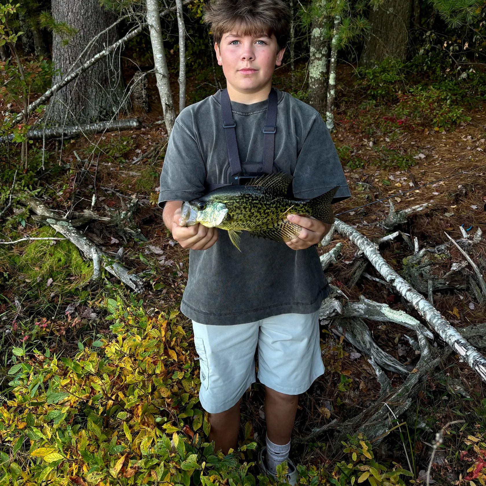 Black crappie caught on Fishbrain