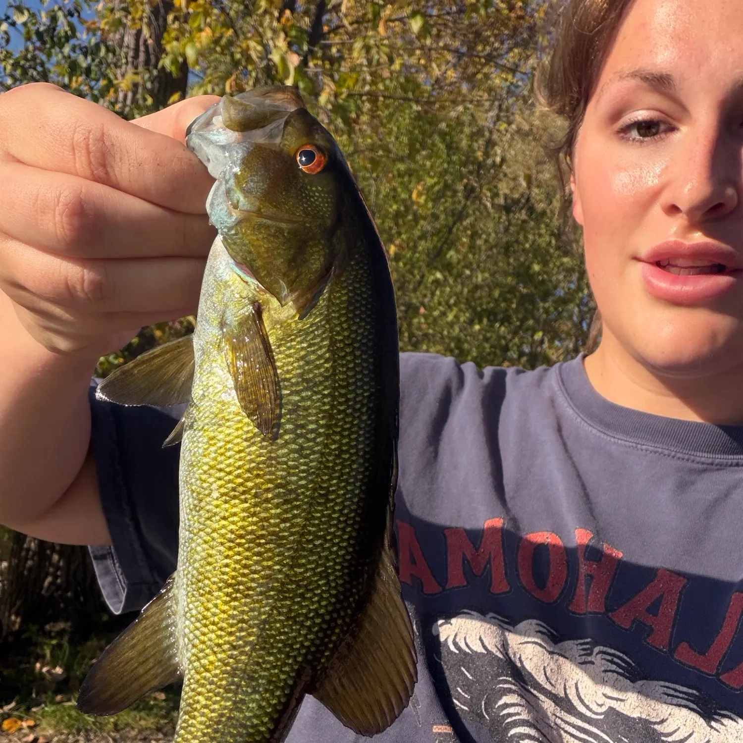 Smallmouth bass caught on Fishbrain