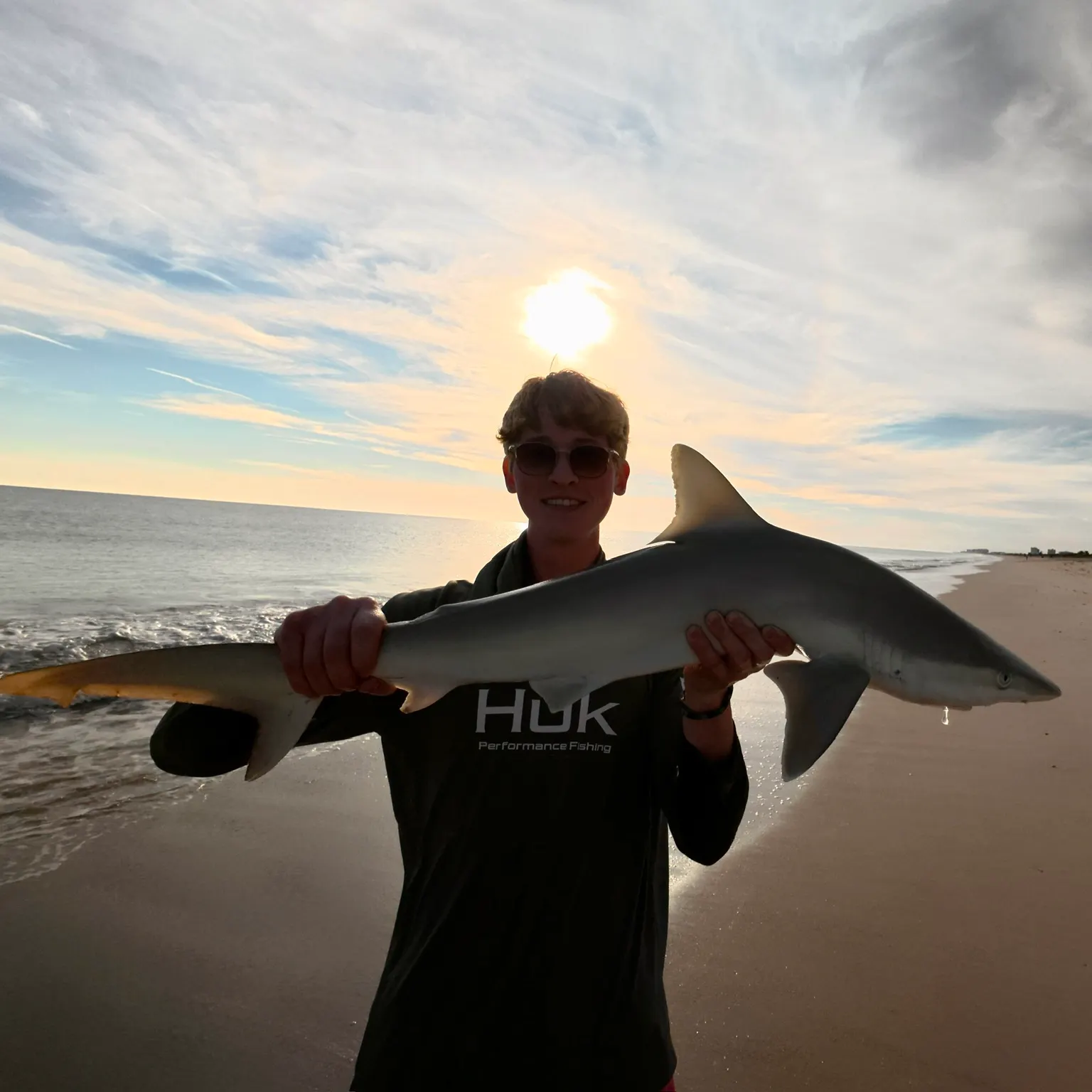 The most recent Blacktip shark catches on Fishbrain