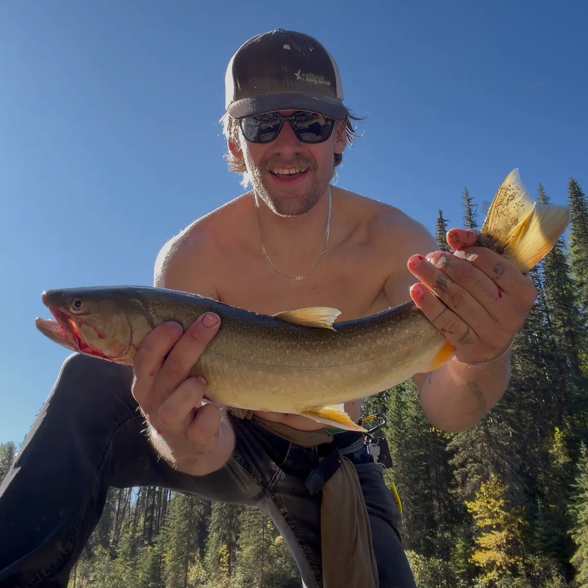 The most recent Bull trout catches on Fishbrain