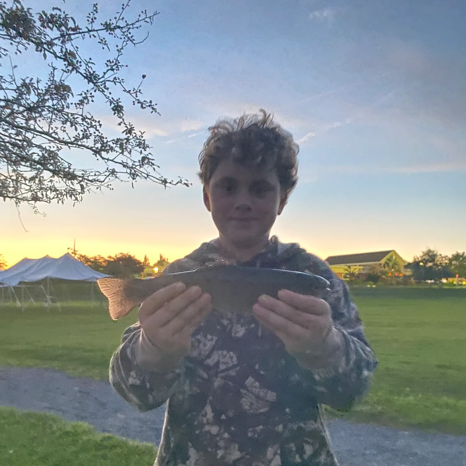 Fish caught on Fishbrain
