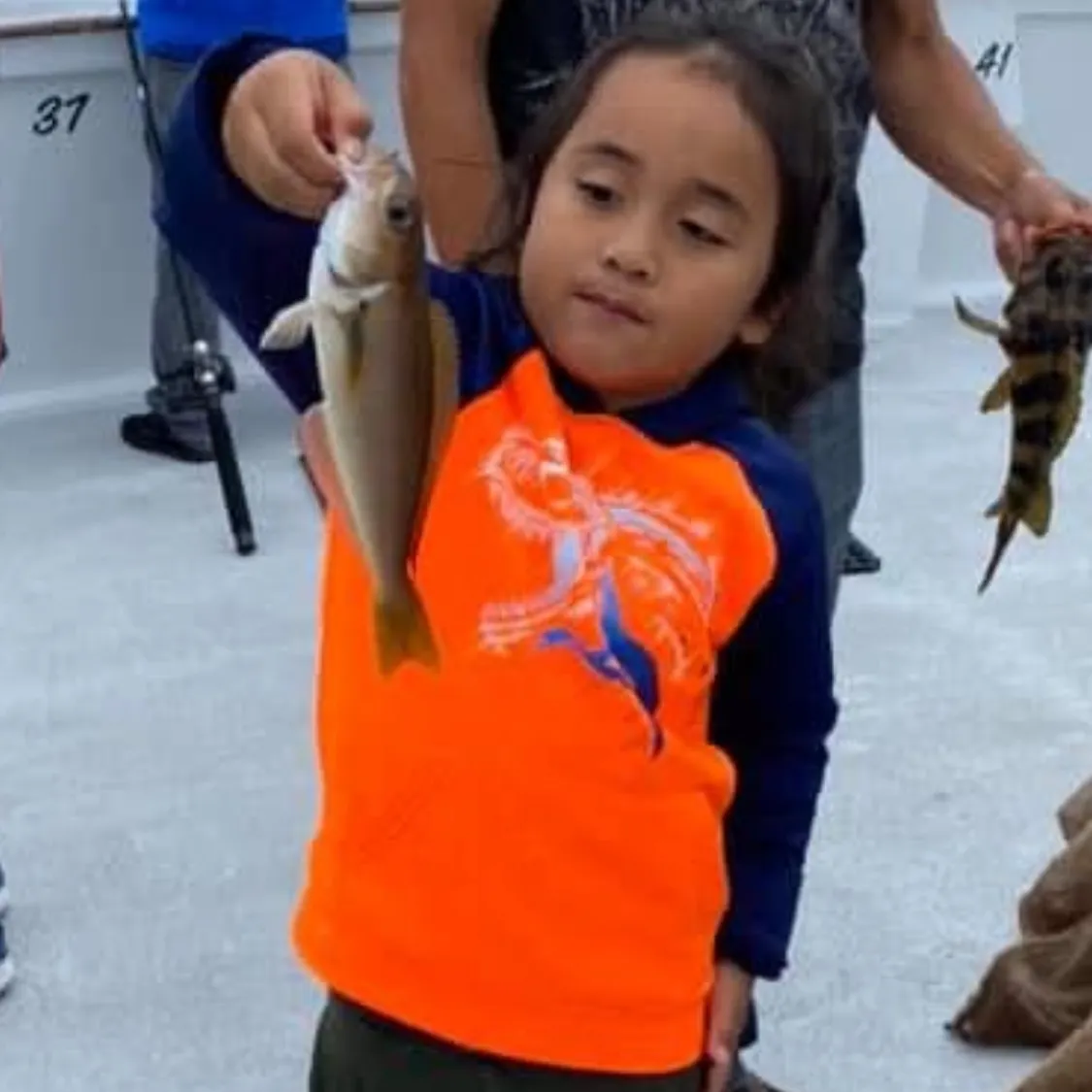 The most recent Ocean whitefish catches on Fishbrain