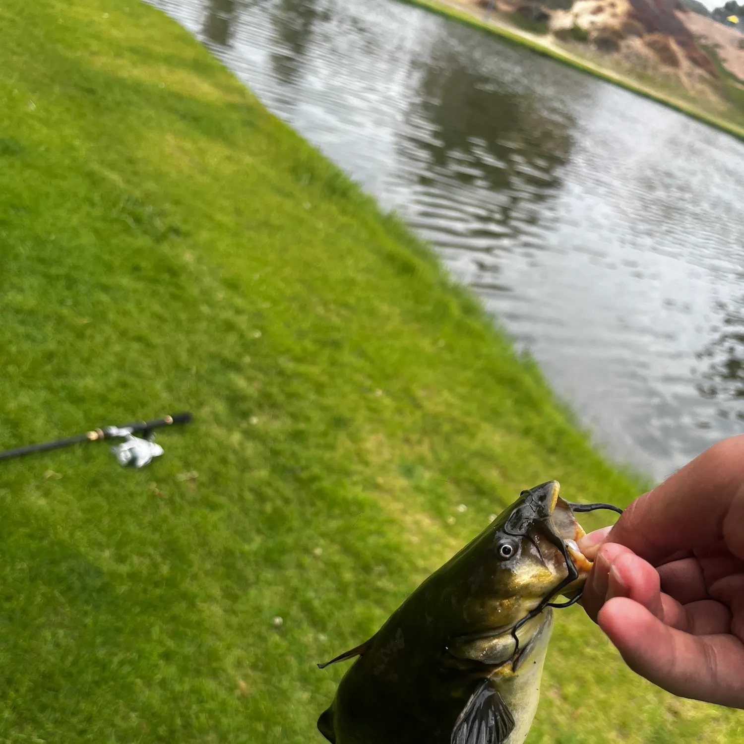 catch