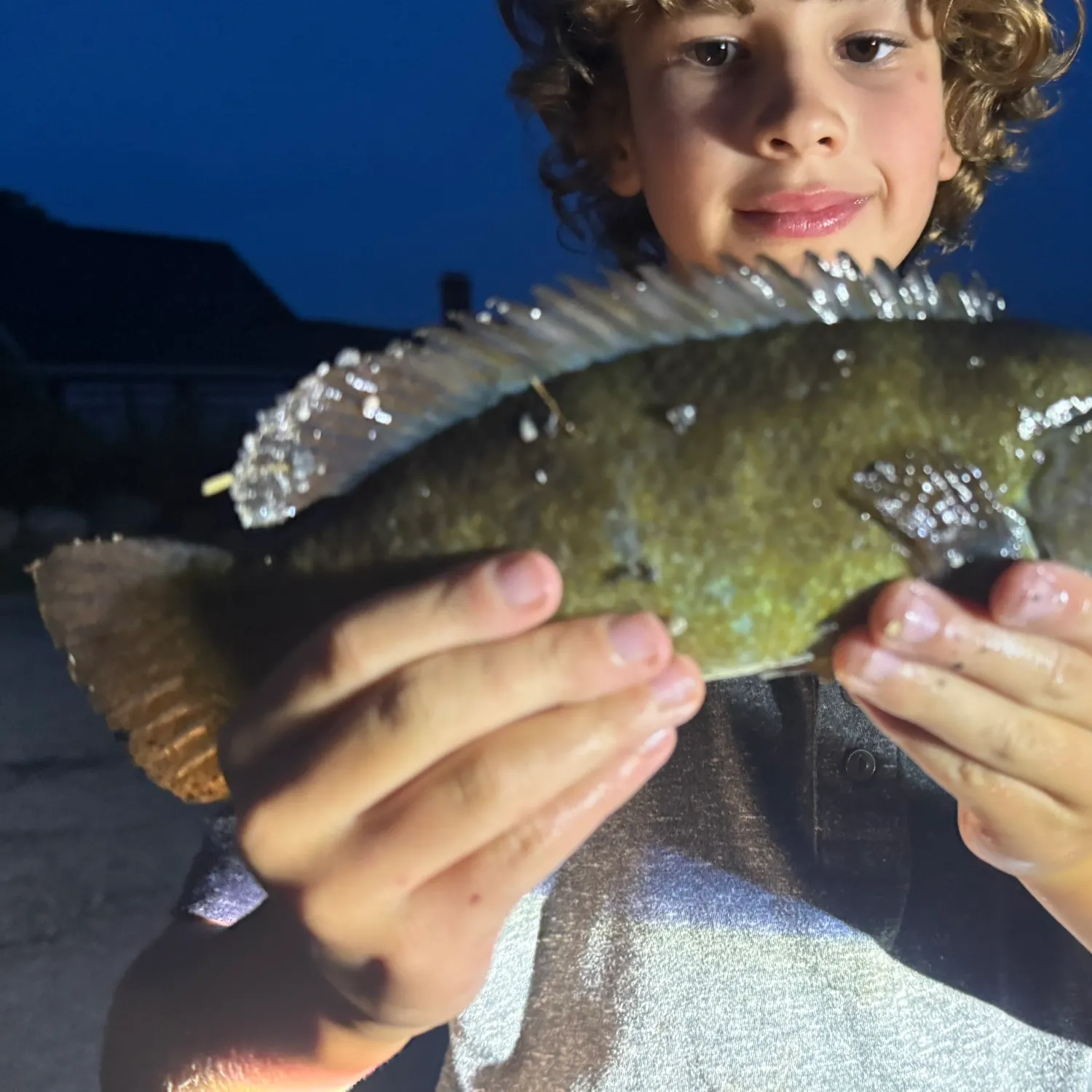 Cunner caught on Fishbrain