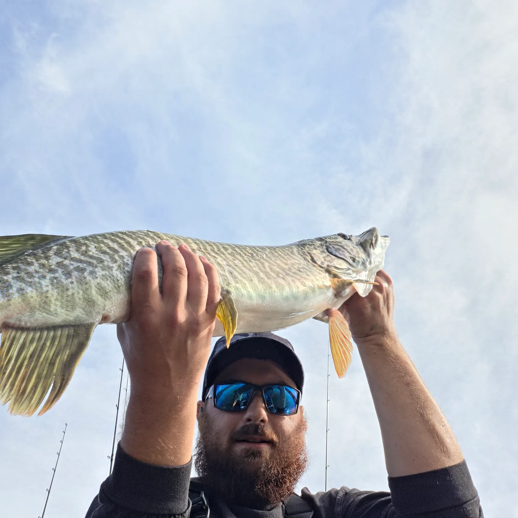 Tiger muskie caught on Fishbrain