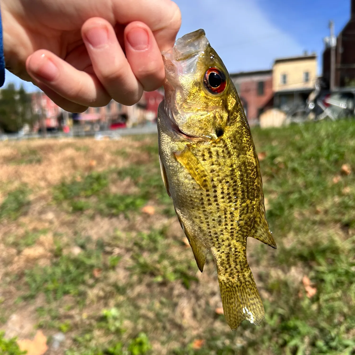 catch
