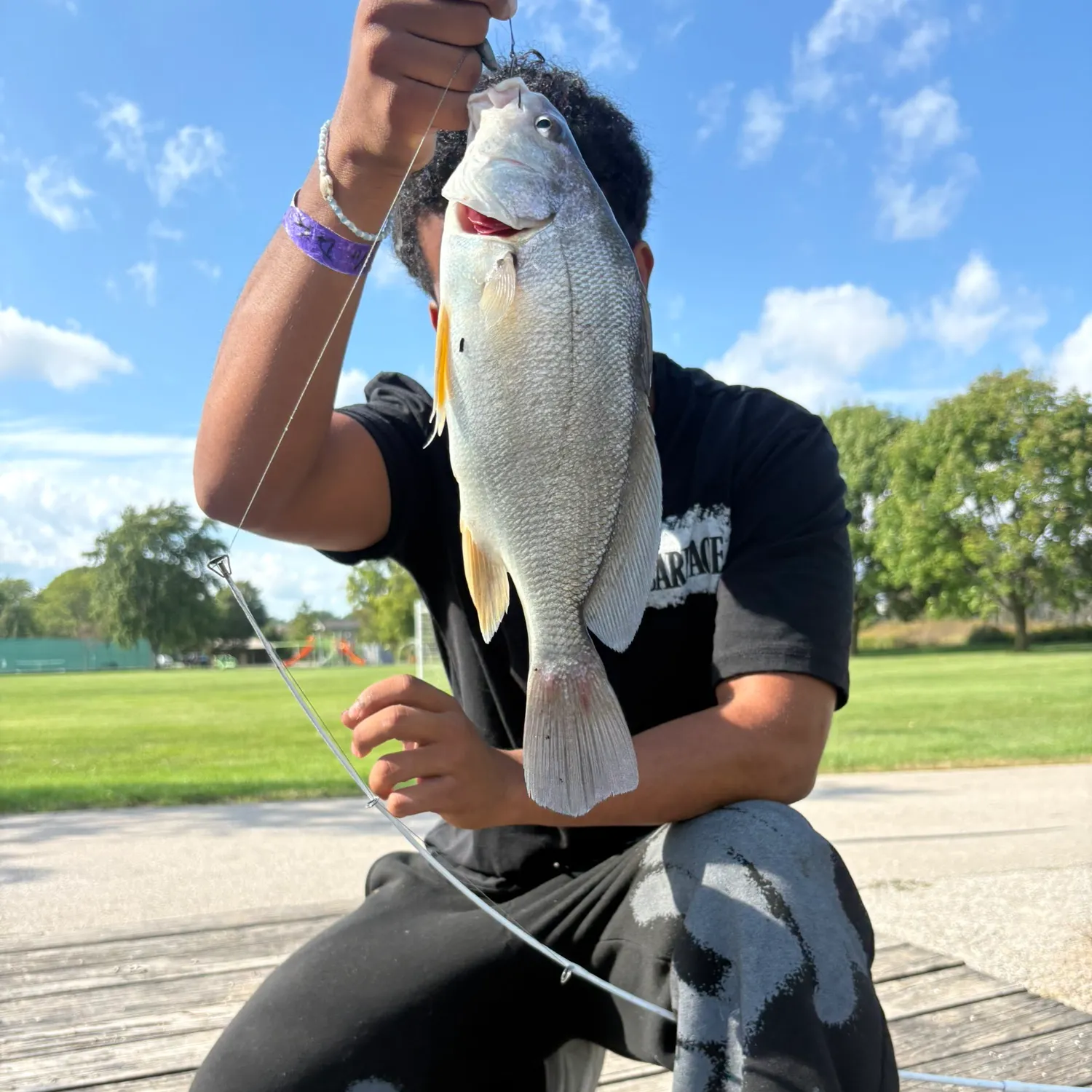 Freshwater drum caught on Fishbrain