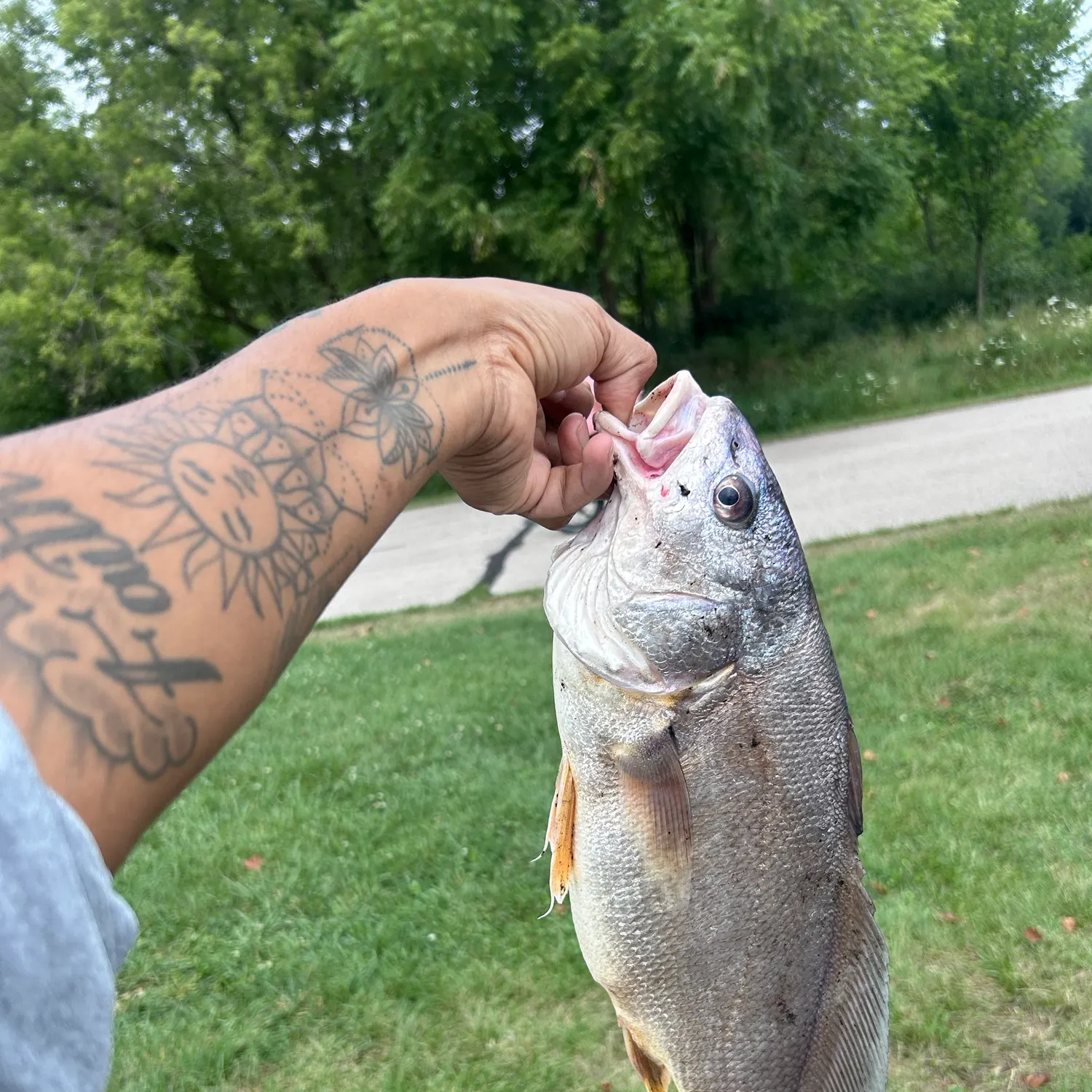 catch