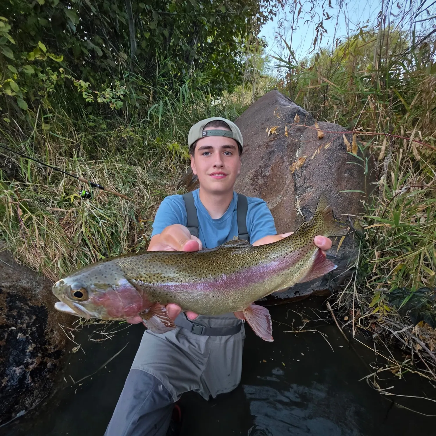 Cutbow caught on Fishbrain