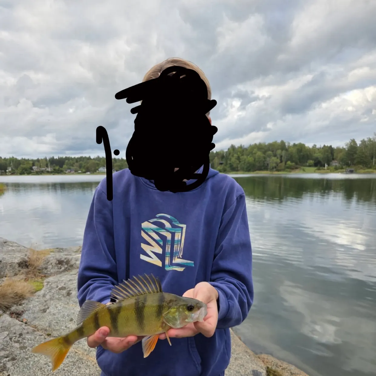 European perch caught on Fishbrain