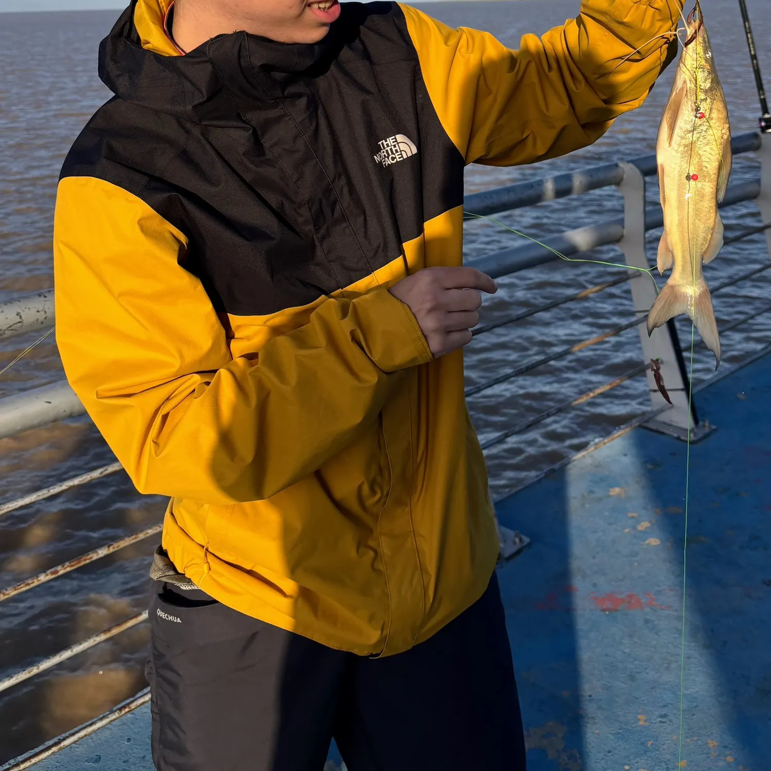 The most recent White pimelodus catches on Fishbrain