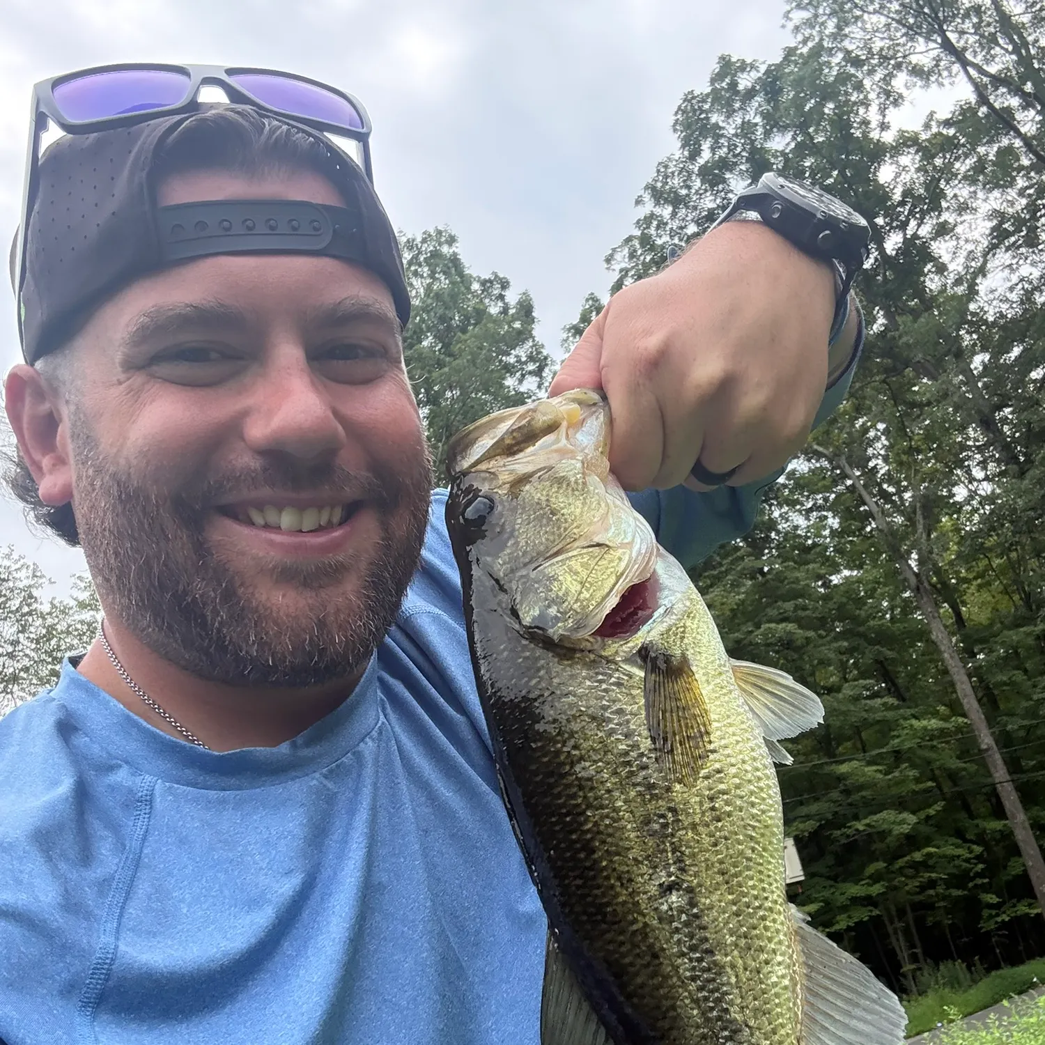 Largemouth bass caught on Fishbrain