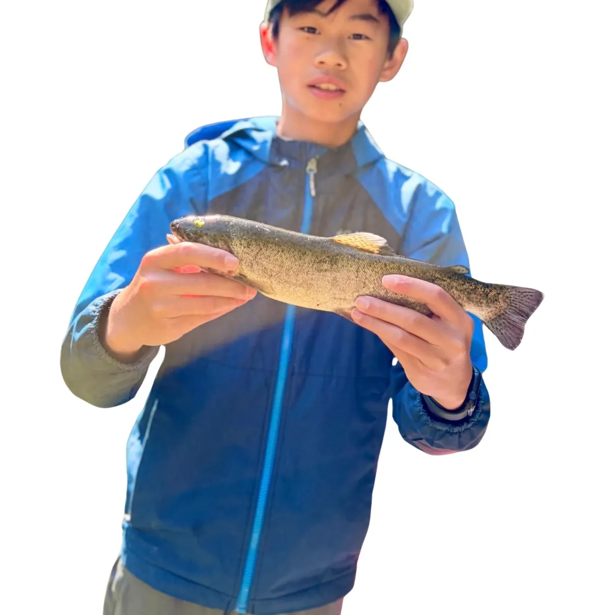 Rainbow trout caught on Fishbrain