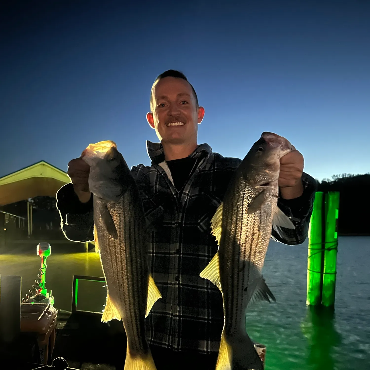 Striped bass caught on Fishbrain