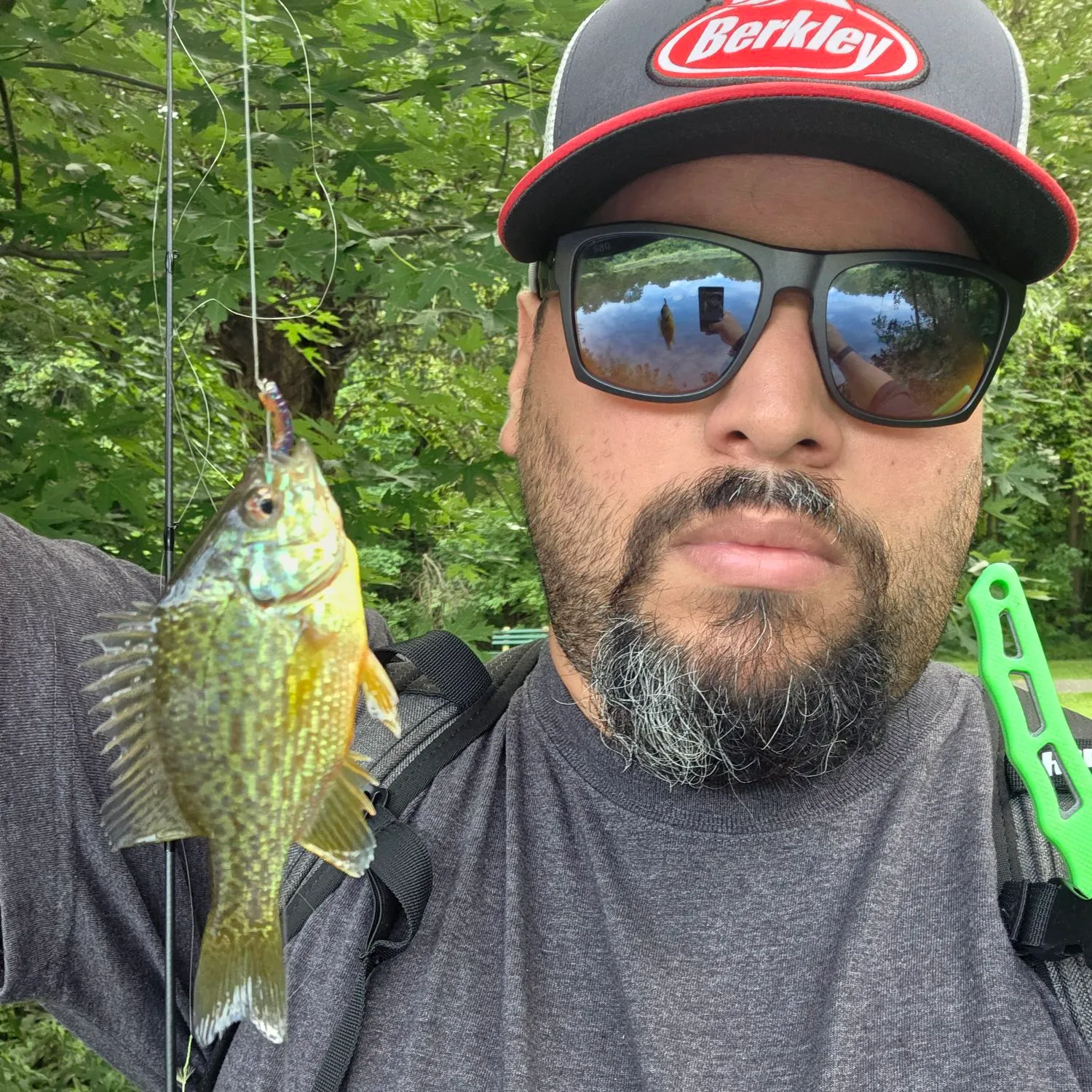Pumpkinseed caught on Fishbrain