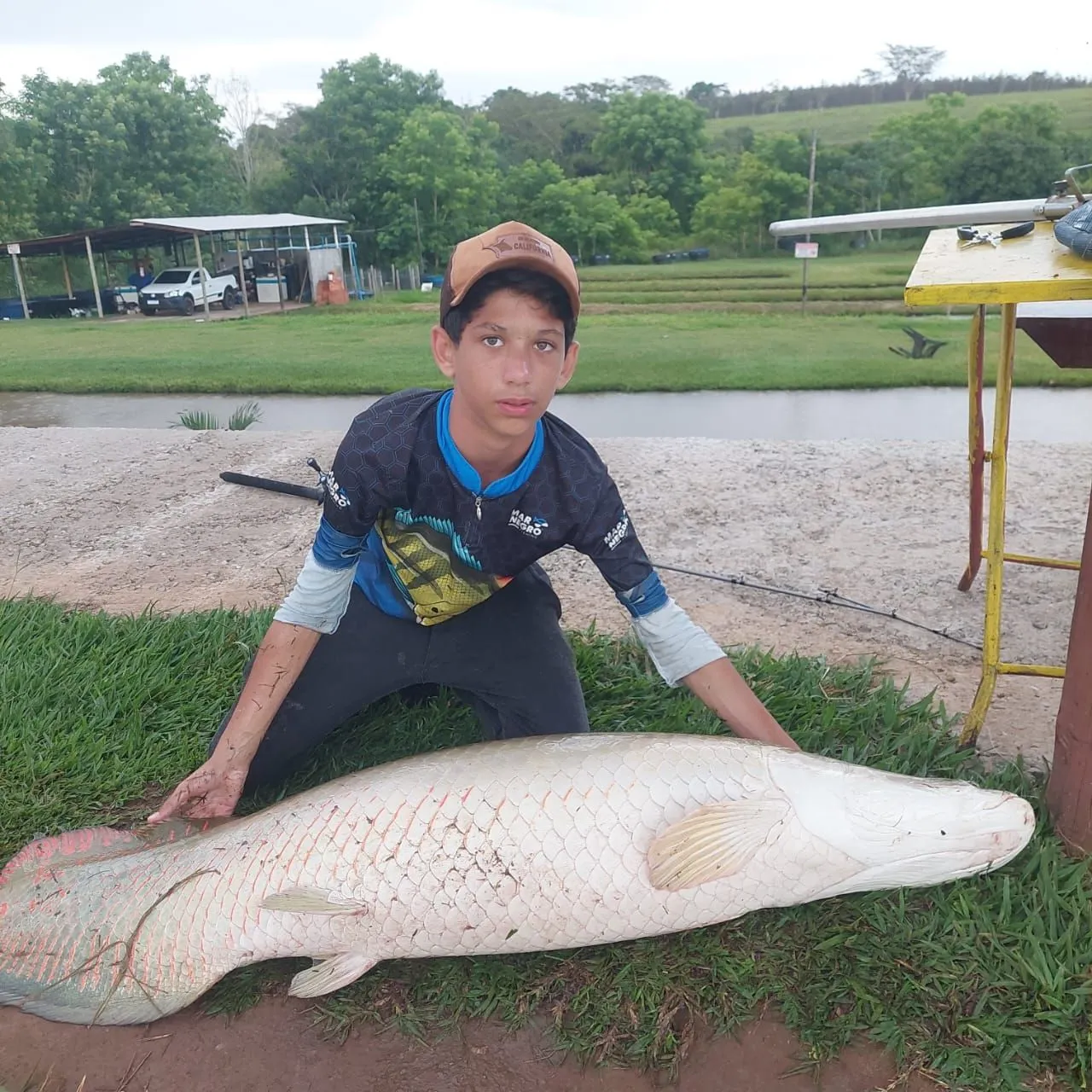 The most recent Arapaima catches on Fishbrain
