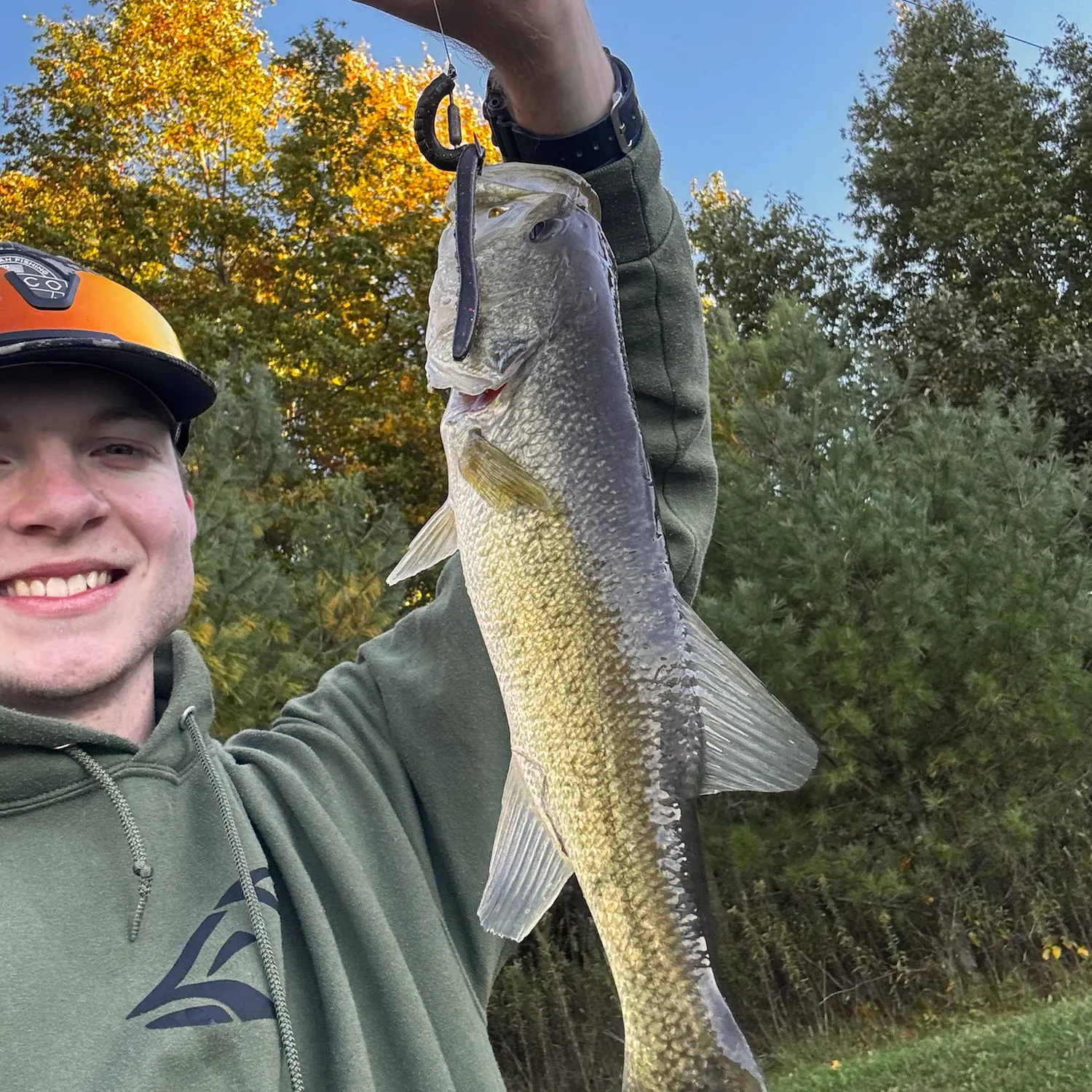 Largemouth bass caught on Fishbrain
