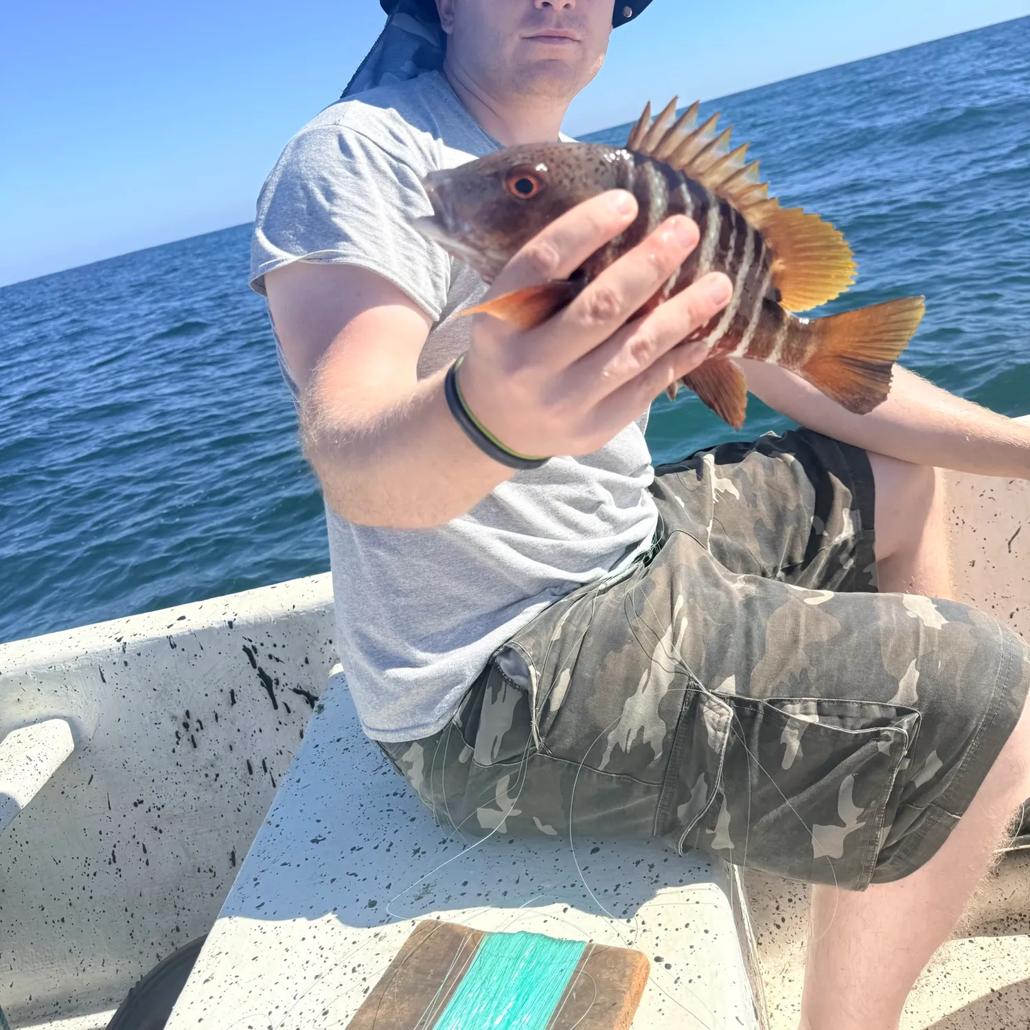 The most recent Mexican barred snapper catches on Fishbrain