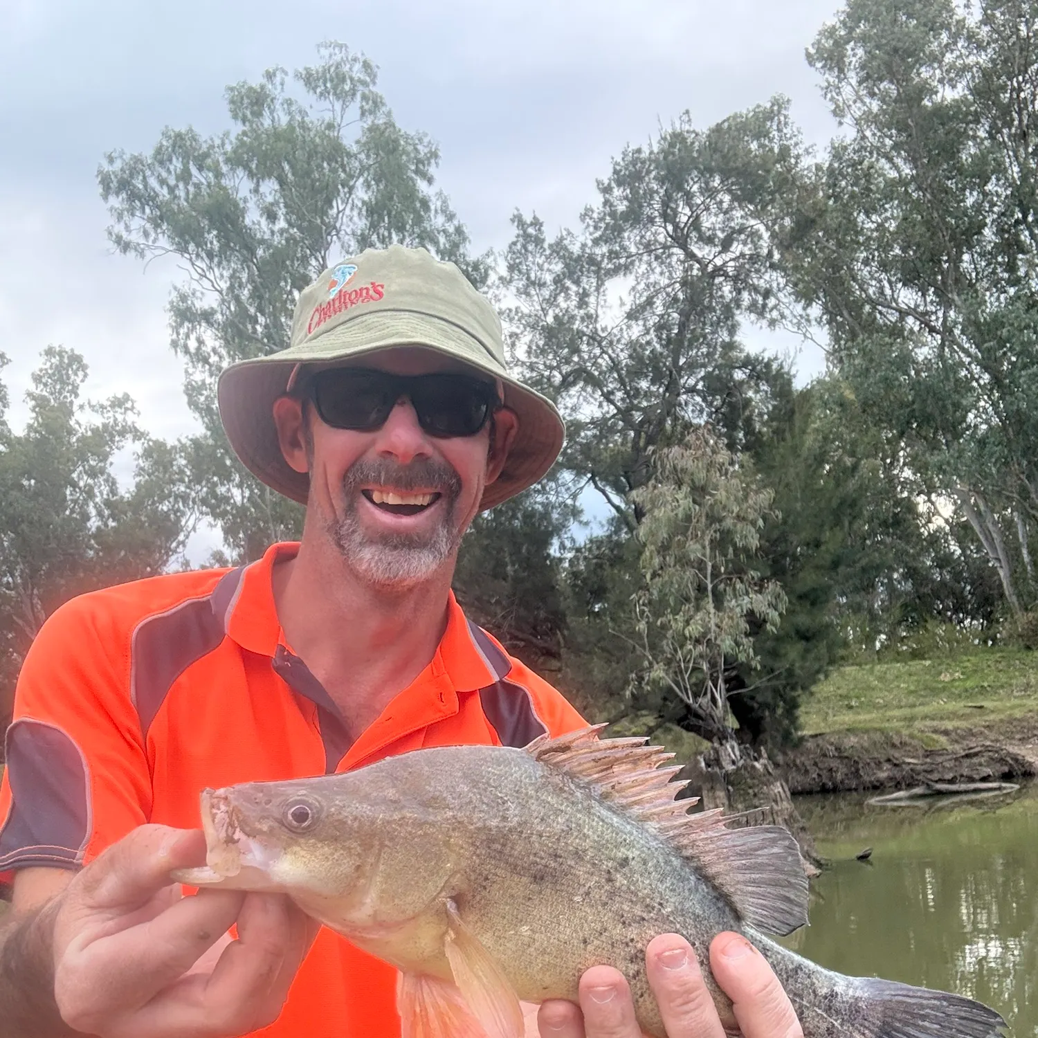 The most recent Golden perch catches on Fishbrain