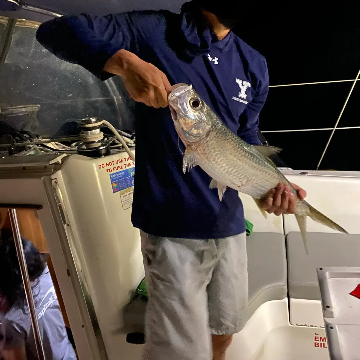 The most recent Indo-Pacific tarpon catches on Fishbrain