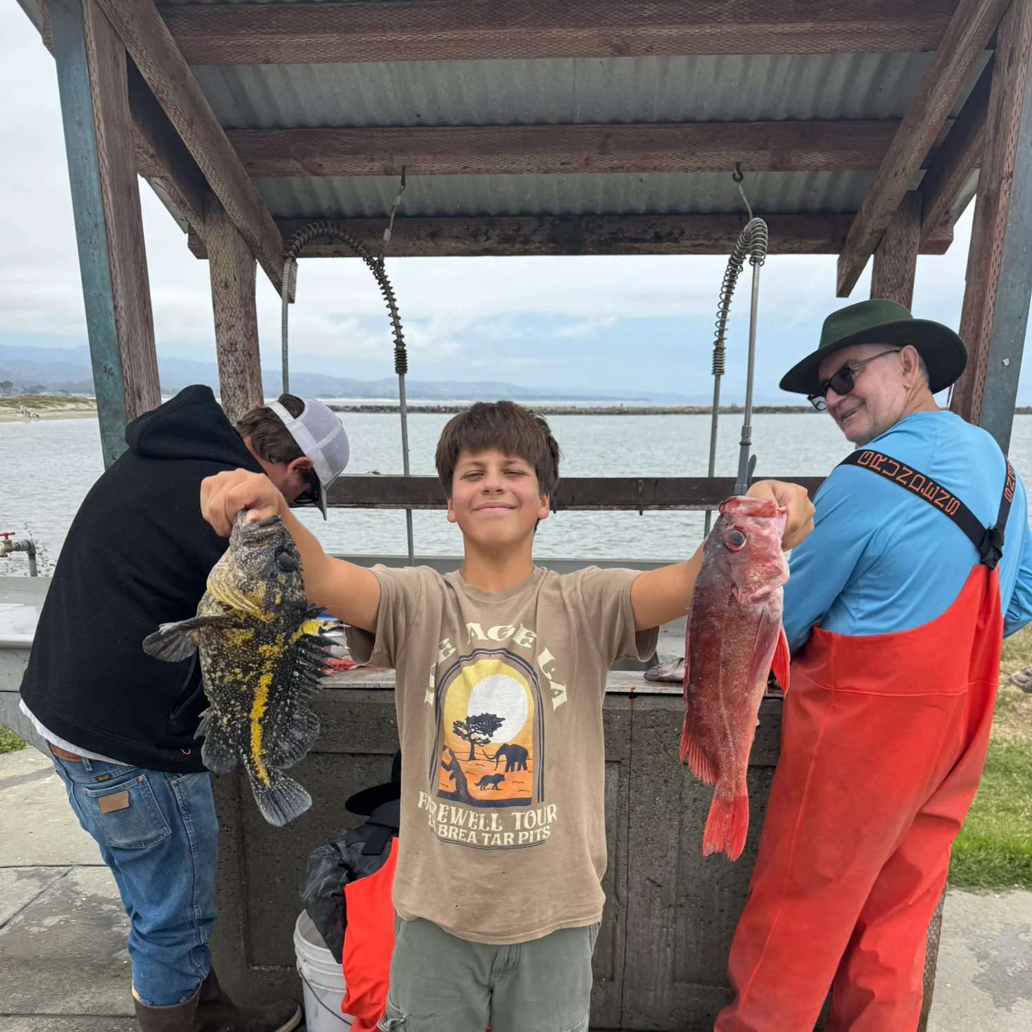 The most recent China rockfish catches on Fishbrain