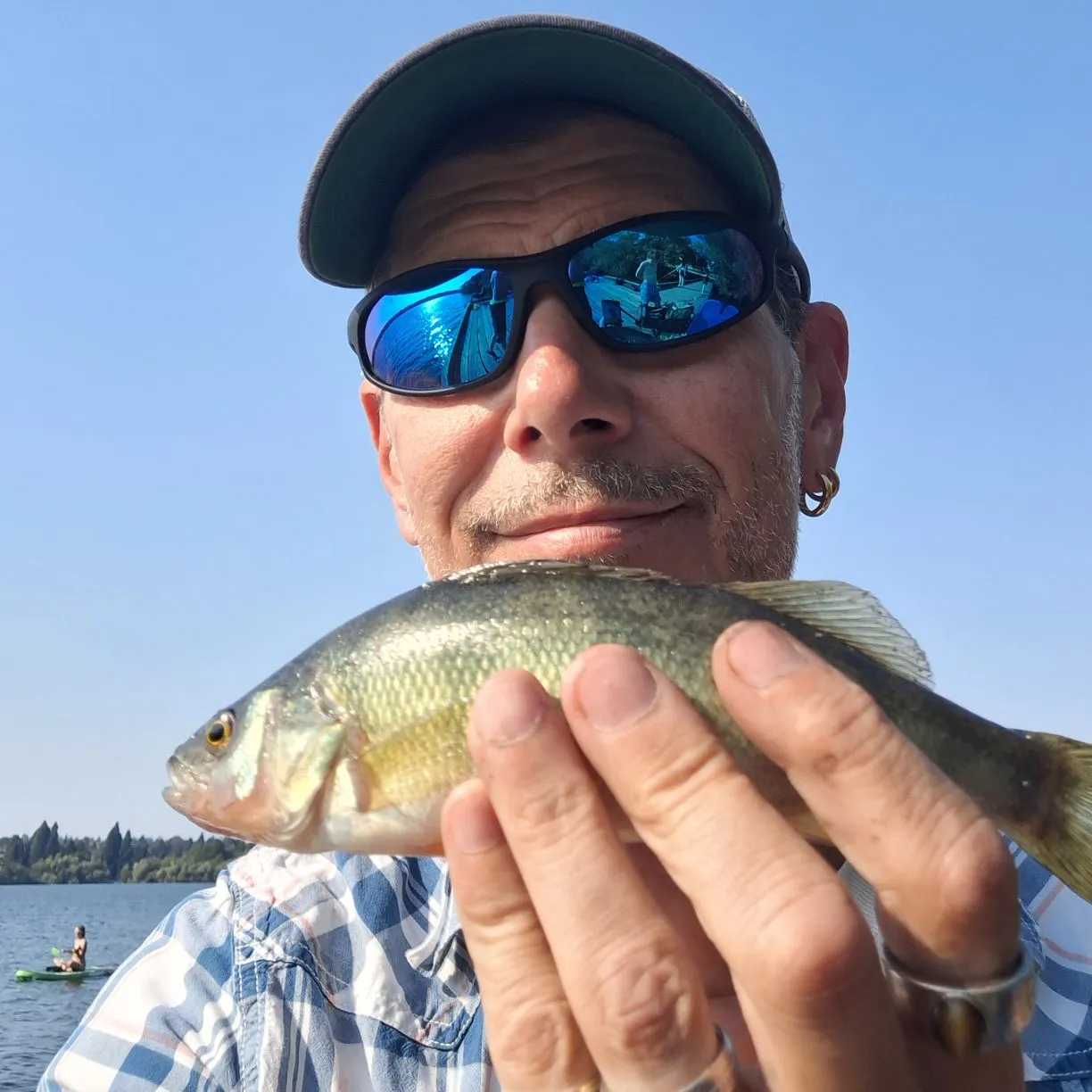 Yellow perch caught on Fishbrain