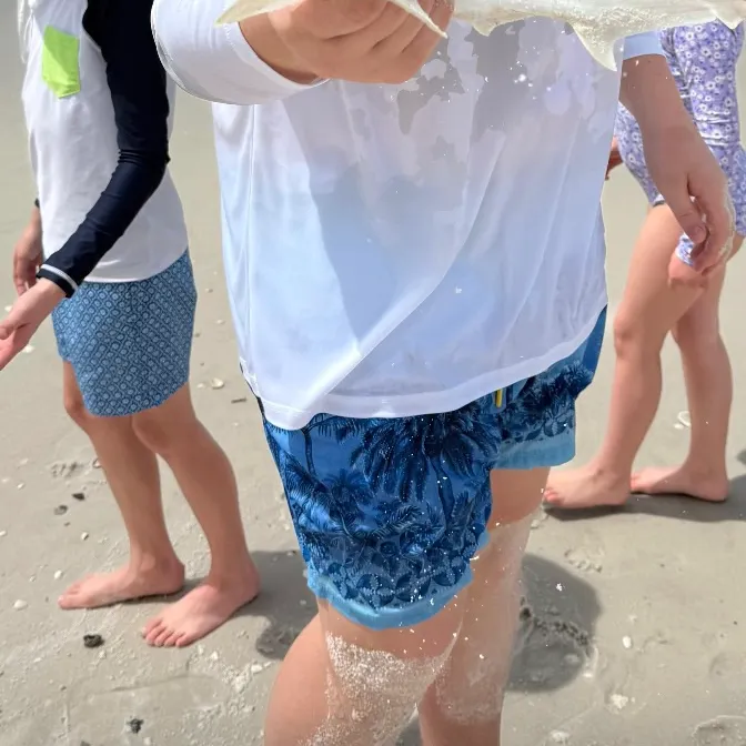 The most recent Great hammerhead shark catches on Fishbrain