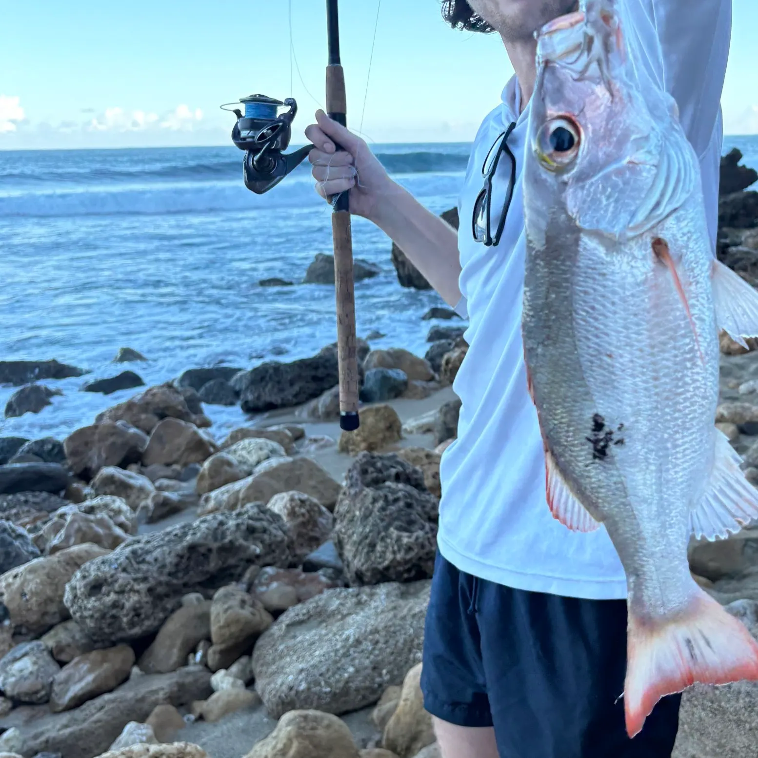 The most recent Lane snapper catches on Fishbrain